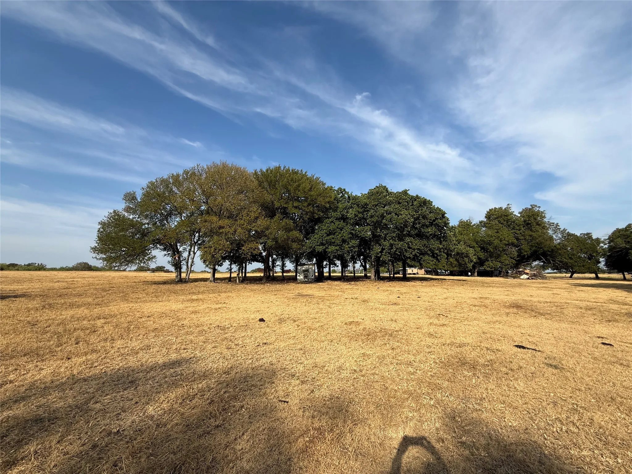 Farm For Sale in Bosque County , 467 County Road 2371, Meridian, Texas 76665, 3 Bedroom, 2 Bathroom, Garage spaces, 1,613 Sqft, built in 1971, mls#21396770, Real Estate Agent in Meridian, Homes For Sale in Bosque county, Homes For Sale in Meridian, Realtor in Meridian Texas, Real Estate Brokerage Independent Realty Texas, Luminita Cordes Realtor
