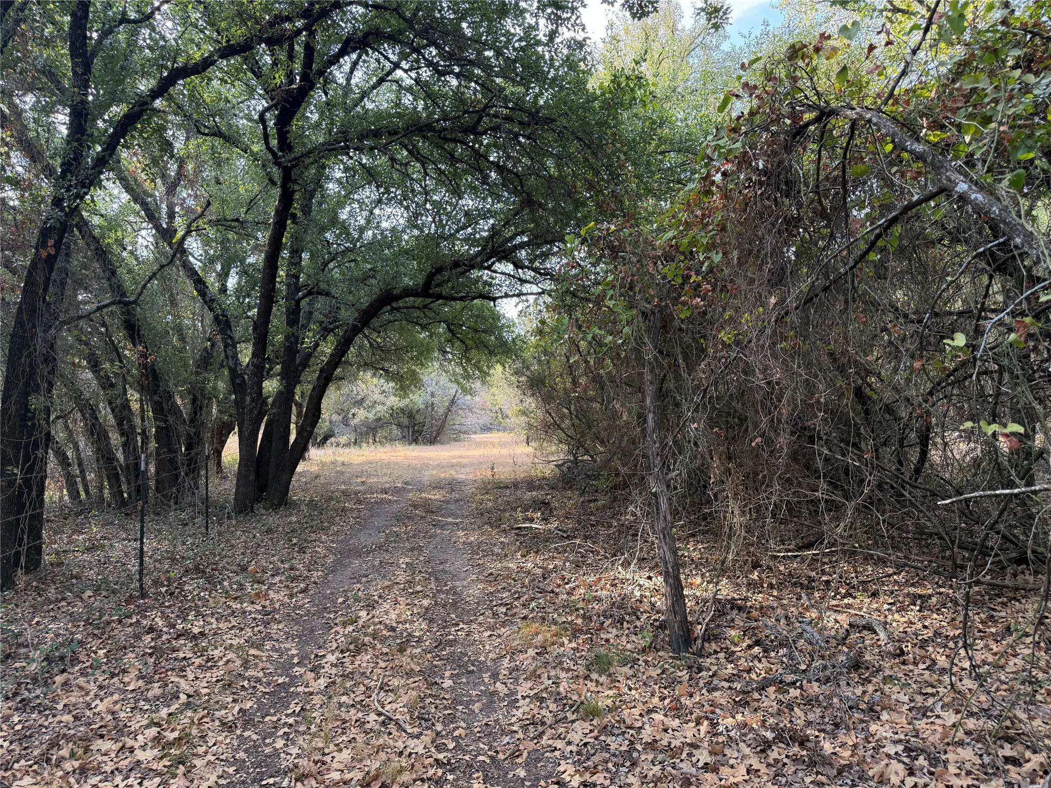 Farm For Sale in Bosque County , 467 County Road 2371, Meridian, Texas 76665, 3 Bedroom, 2 Bathroom, Garage spaces, 1,613 Sqft, built in 1971, mls#21396770, Real Estate Agent in Meridian, Homes For Sale in Bosque county, Homes For Sale in Meridian, Realtor in Meridian Texas, Real Estate Brokerage Independent Realty Texas, Luminita Cordes Realtor