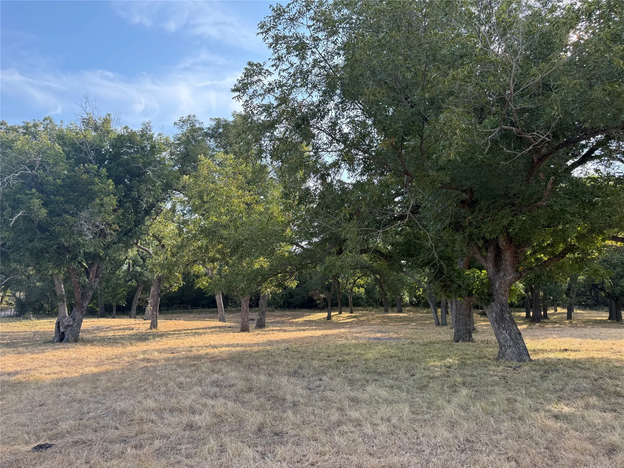 Farm For Sale in Bosque County , 467 County Road 2371, Meridian, Texas 76665, 3 Bedroom, 2 Bathroom, Garage spaces, 1,613 Sqft, built in 1971, mls#21396770, Real Estate Agent in Meridian, Homes For Sale in Bosque county, Homes For Sale in Meridian, Realtor in Meridian Texas, Real Estate Brokerage Independent Realty Texas, Luminita Cordes Realtor