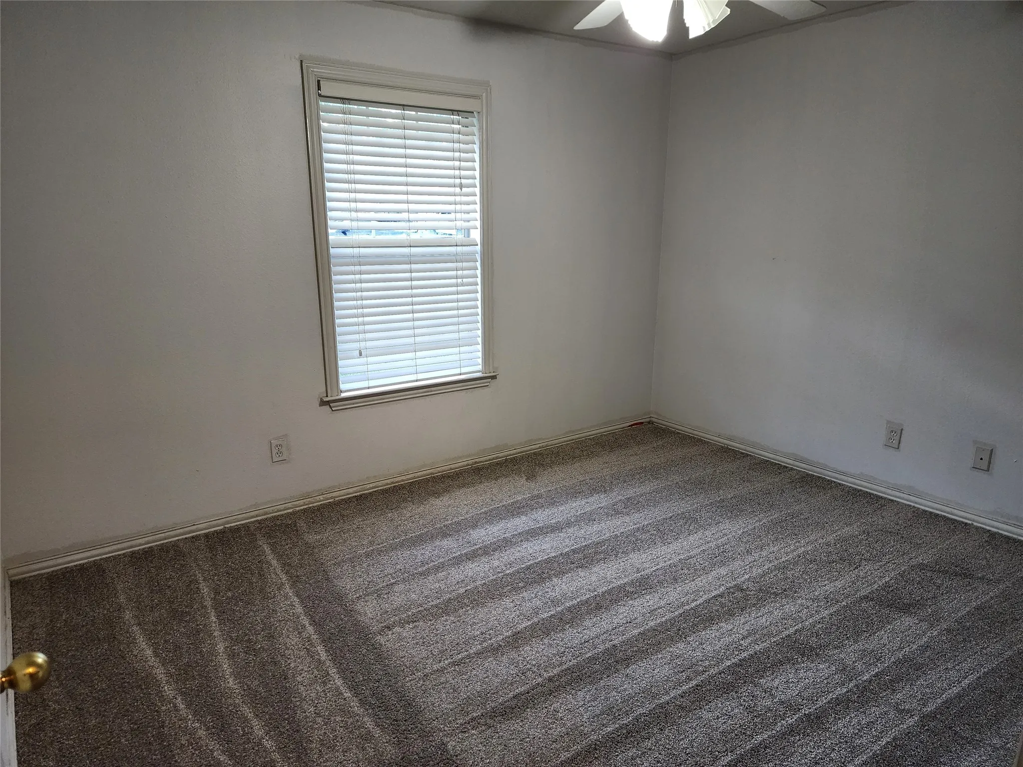 Carpeted room with a ceiling fan, window with blinds, and white painted walls