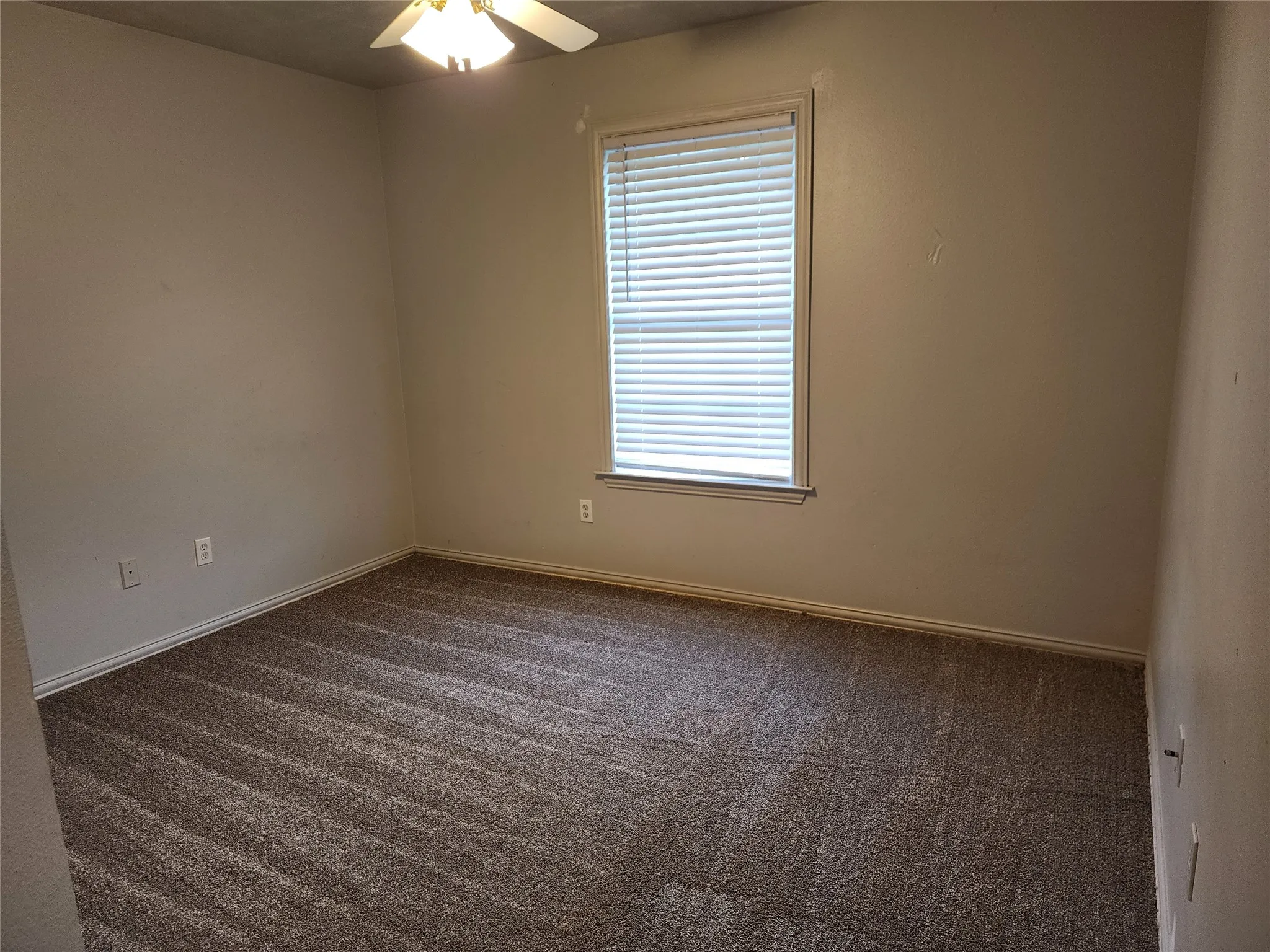 Neutral tone wall paint