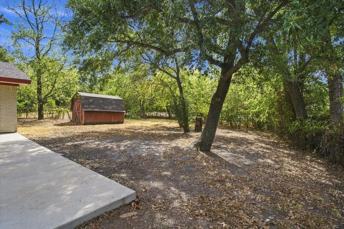 Lovely treed back yard, large concrete back patio