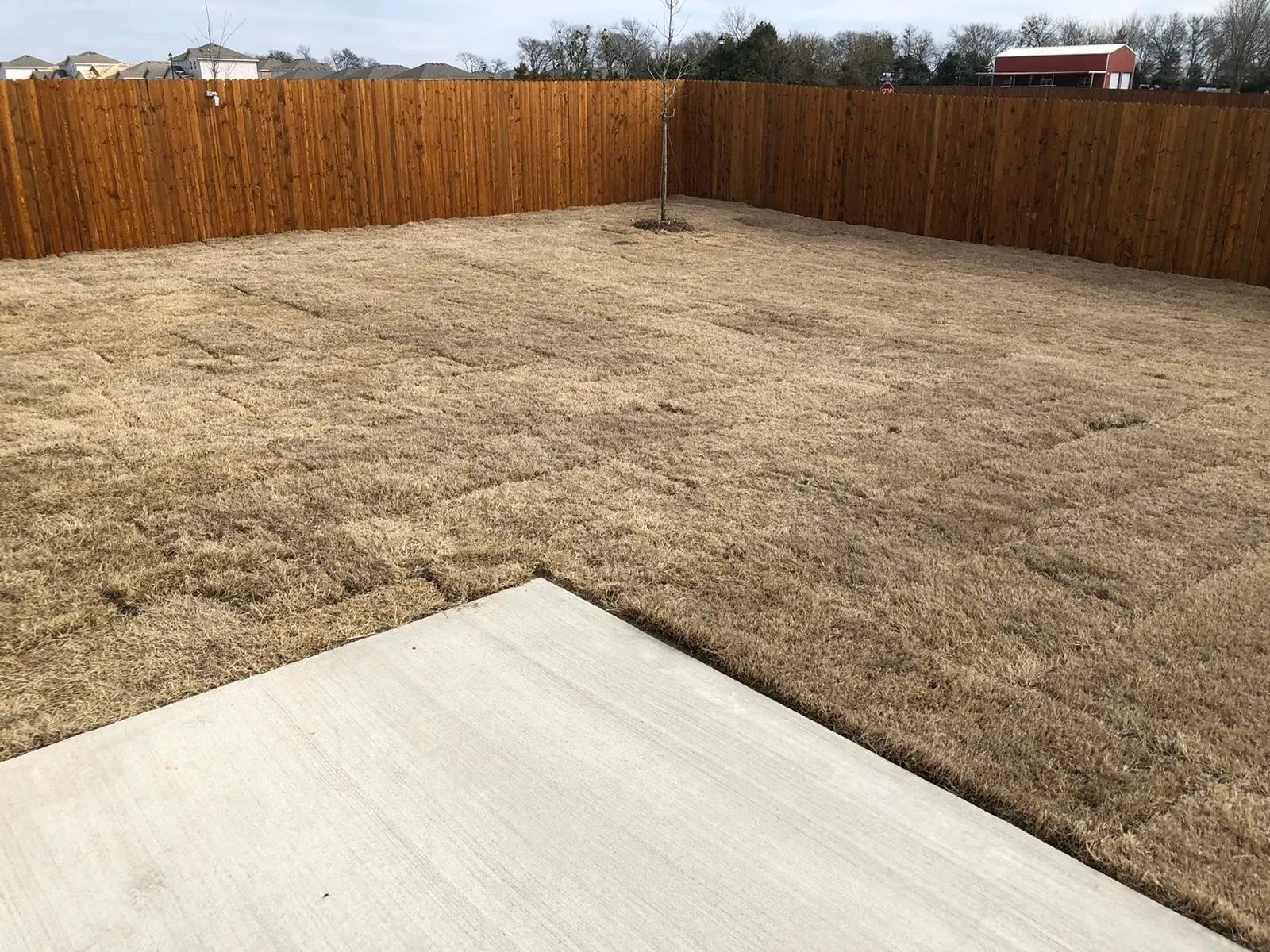 Single Family Residence For Rent in Collin County , 718 Windsor Court, Lavon, Texas 75166, 3 Bedroom, 2 Bathroom, 2 Garage spaces, 1,636 Sqft, built in 2021, mls#21397145, Real Estate Agent in Lavon, Homes For Rent in Collin county, Homes For Rent in Lavon, Realtor in Lavon Texas, Real Estate Brokerage Independent Realty Texas, Luminita Cordes Realtor