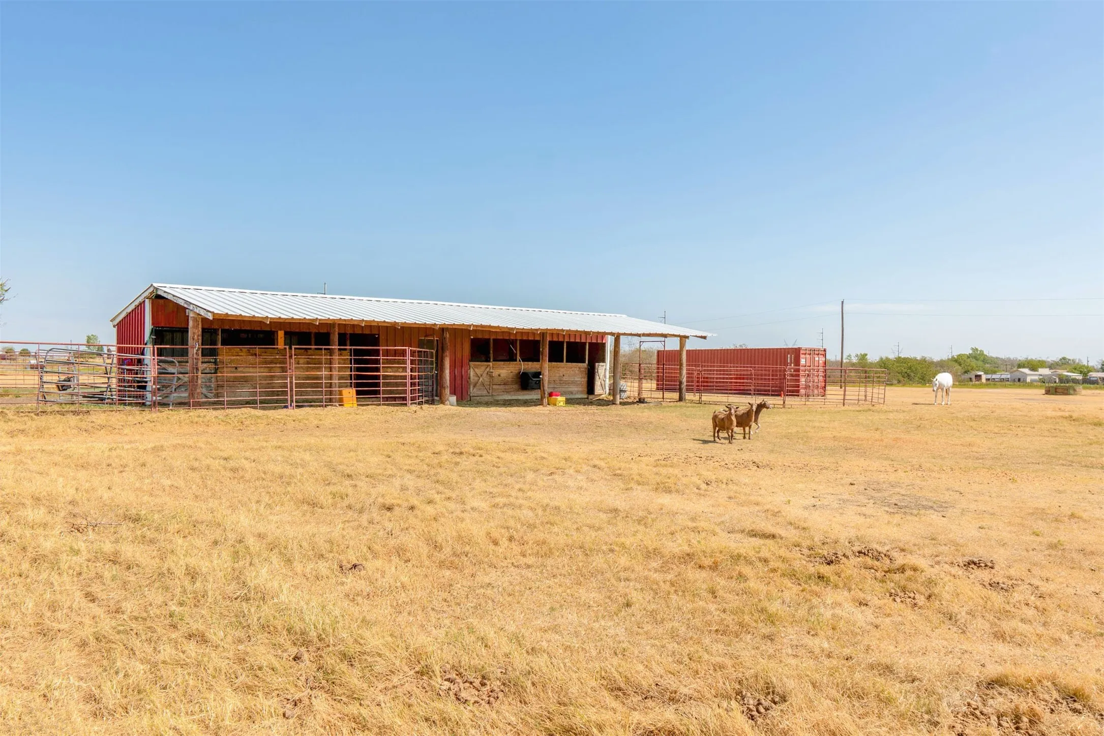 Two stalls on the left are built taller for studs if you have them, and the two on the right are shorter for any horse or farm animal.