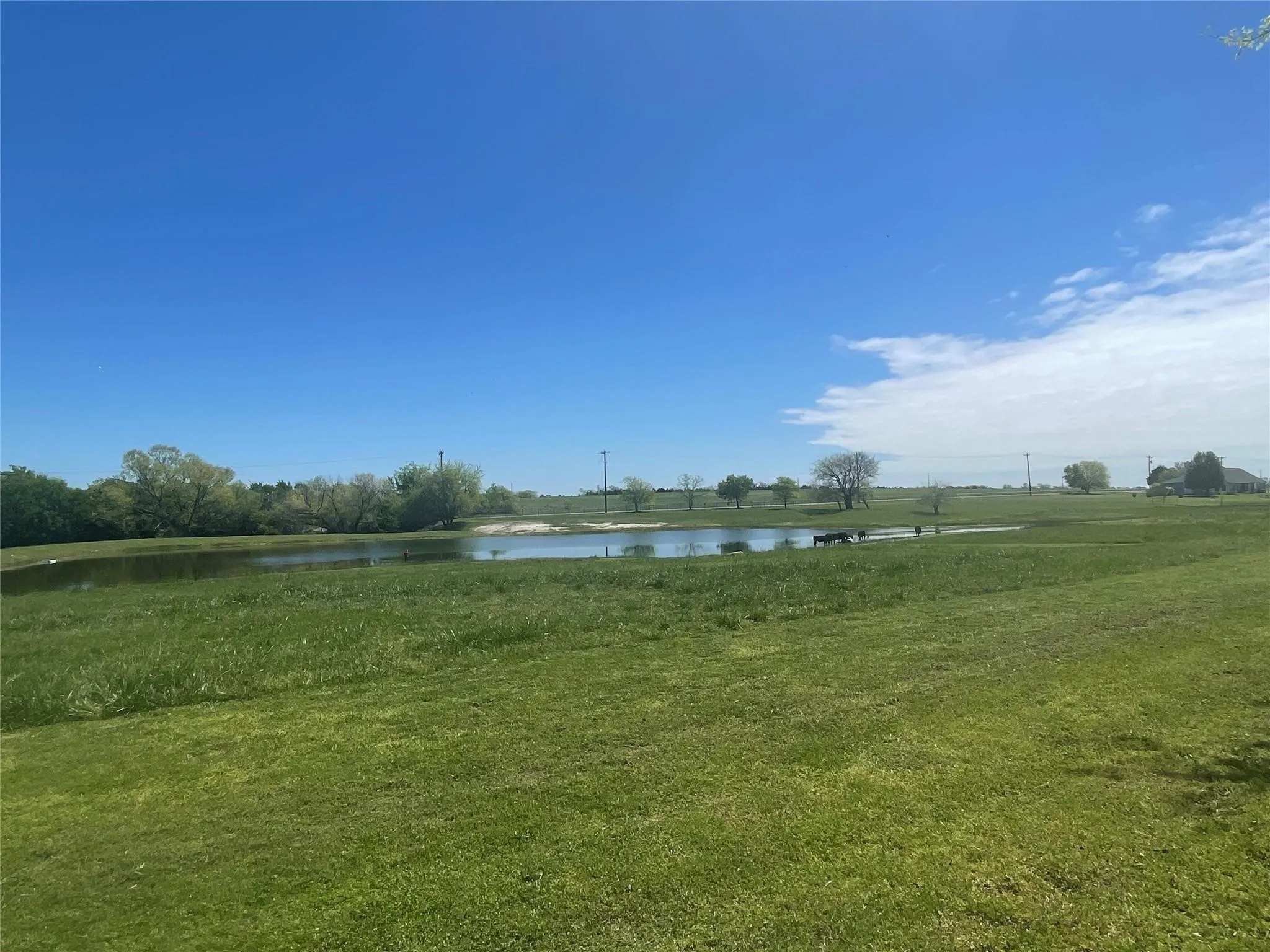 Farm For Sale in Grayson County , 2196 Bledsoe Road, Gunter, Texas 75058, 2 Bedroom, 3 Bathroom, Garage spaces, 1,745 Sqft, built in 1945, mls#21386281, Real Estate Agent in Gunter, Homes For Sale in Grayson county, Homes For Sale in Gunter, Realtor in Gunter Texas, Real Estate Brokerage Independent Realty Texas, Luminita Cordes Realtor
