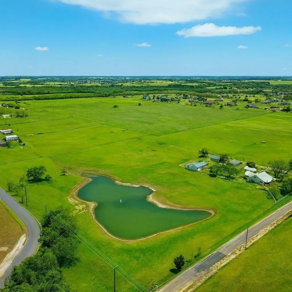 Farm For Sale in Grayson County , 2196 Bledsoe Road, Gunter, Texas 75058, 2 Bedroom, 3 Bathroom, Garage spaces, 1,745 Sqft, built in 1945, mls#21386281, Real Estate Agent in Gunter, Homes For Sale in Grayson county, Homes For Sale in Gunter, Realtor in Gunter Texas, Real Estate Brokerage Independent Realty Texas, Luminita Cordes Realtor