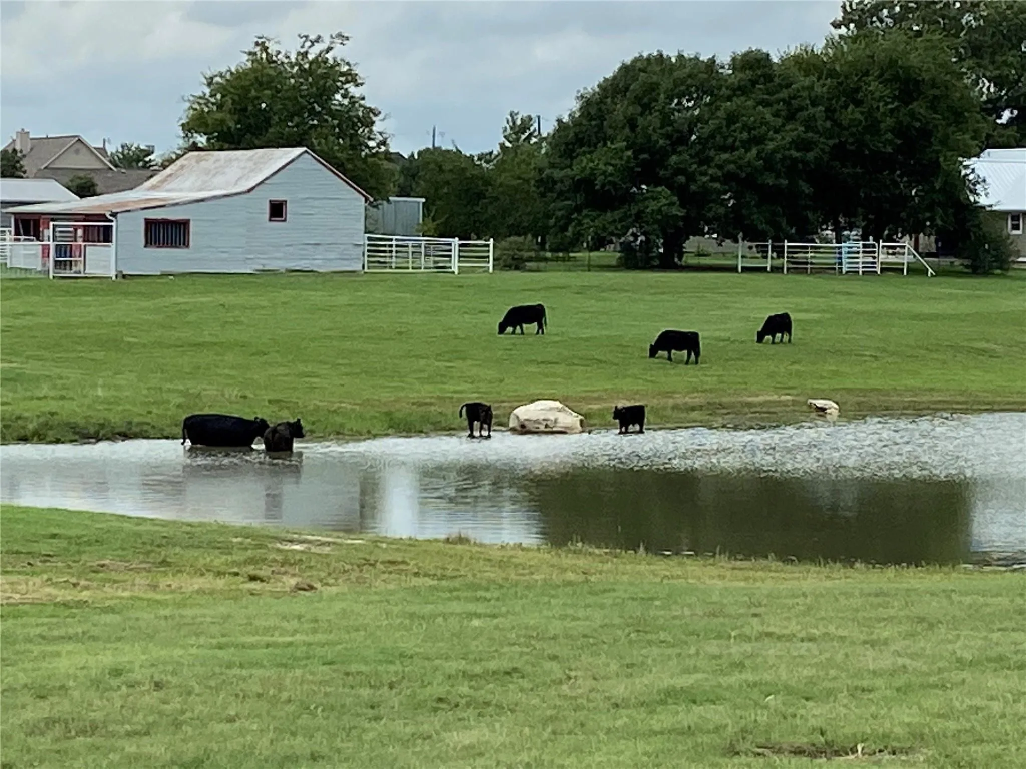 Farm For Sale in Grayson County , 2196 Bledsoe Road, Gunter, Texas 75058, 2 Bedroom, 3 Bathroom, Garage spaces, 1,745 Sqft, built in 1945, mls#21386281, Real Estate Agent in Gunter, Homes For Sale in Grayson county, Homes For Sale in Gunter, Realtor in Gunter Texas, Real Estate Brokerage Independent Realty Texas, Luminita Cordes Realtor