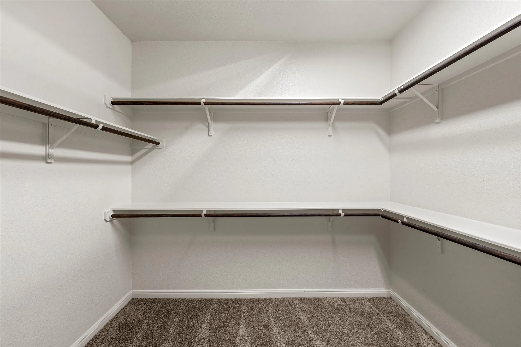 Walk-in closet with carpet flooring, white walls, and built-in shelving