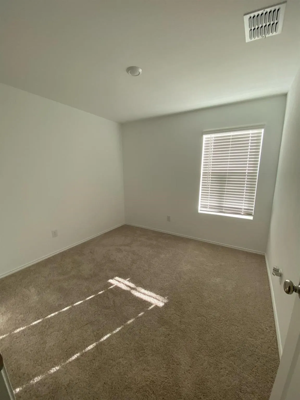 Soft neutral carpet flooring
