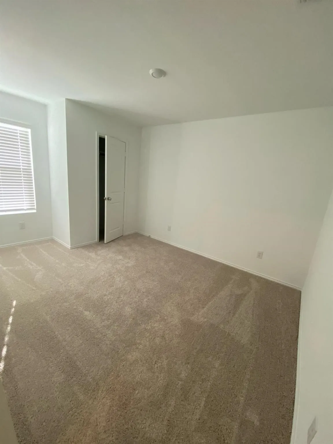 Recessed lighting, neutral wall paint, light brown carpeting, white interior door, and window with blinds