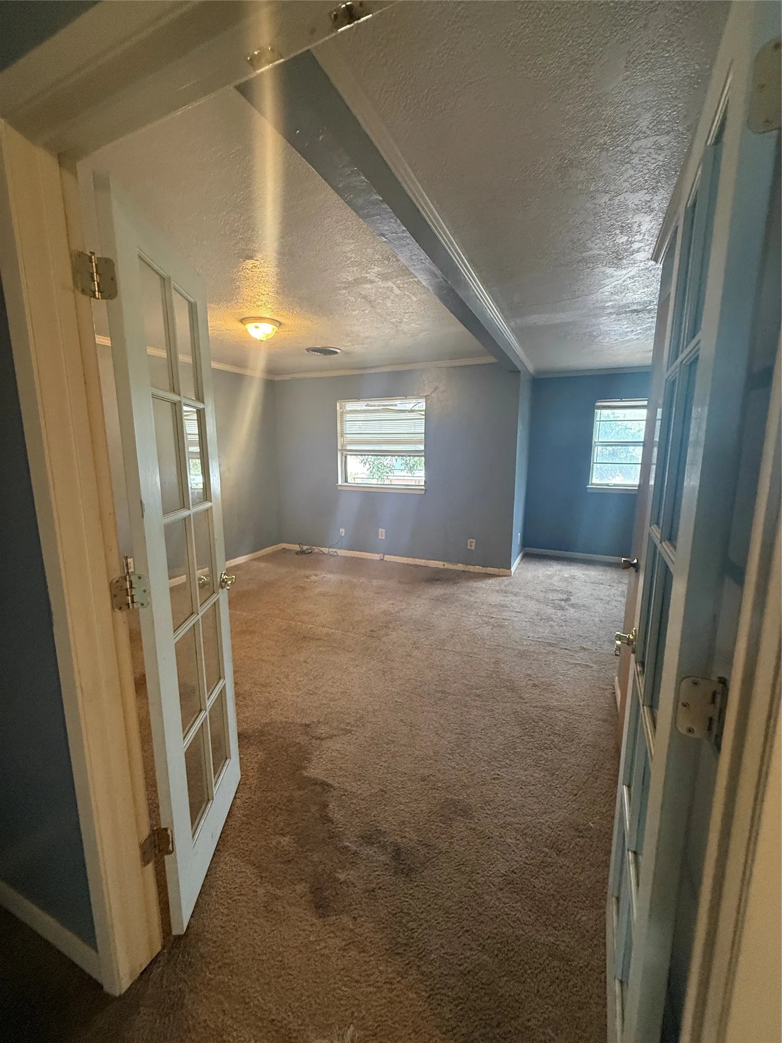 Lots of space & natural lighting!