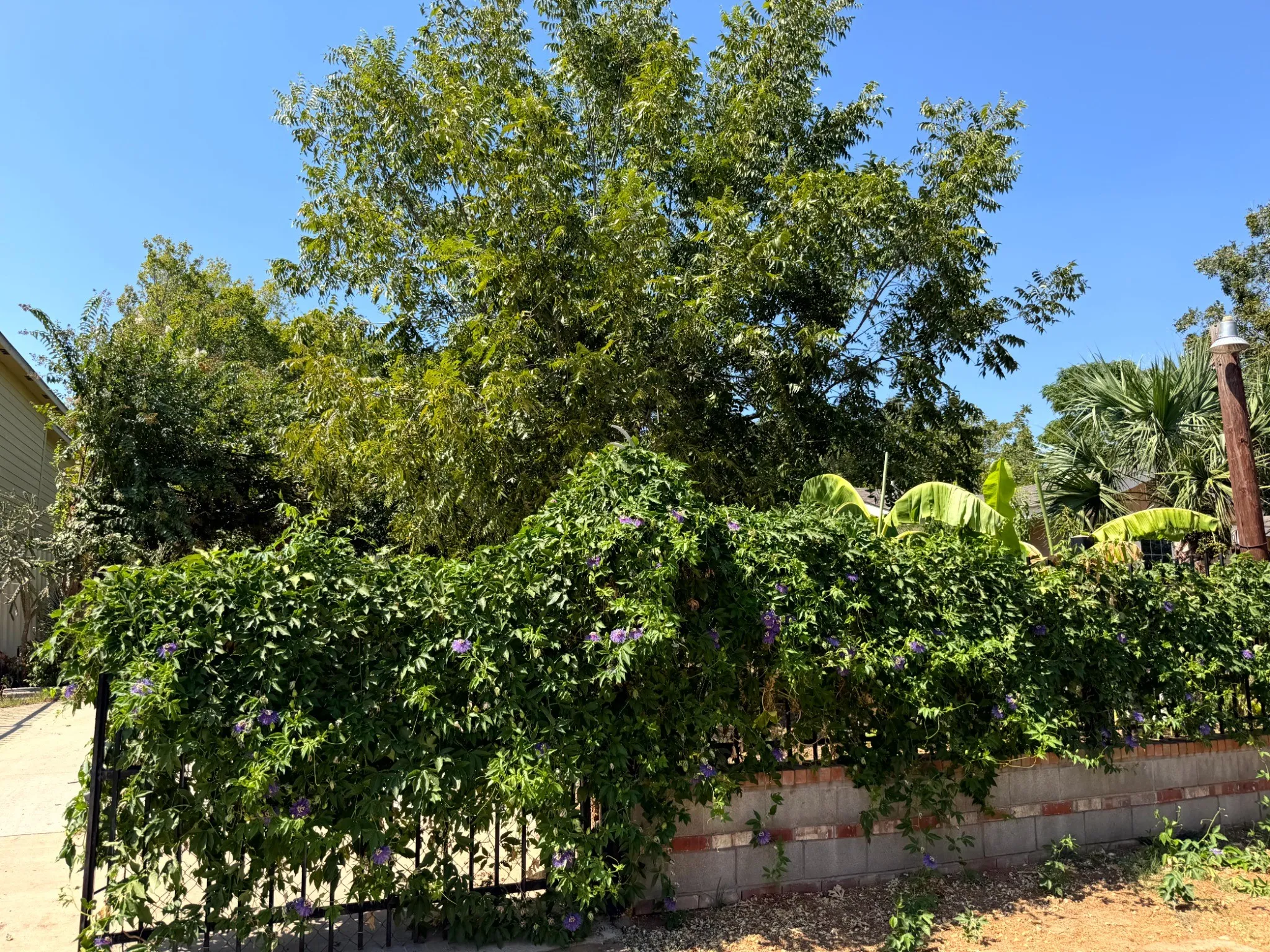 Unimproved Land For Sale in Tarrant County , 420 Sunset Lane, Fort Worth, Texas 76114, 0, 0, Garage spaces, 0 Sqft, built in 0, mls#21394331, Real Estate Agent in Fort Worth, Homes For Sale in Tarrant county, Homes For Sale in Fort Worth, Realtor in Fort Worth Texas, Real Estate Brokerage Independent Realty Texas, Luminita Cordes Realtor