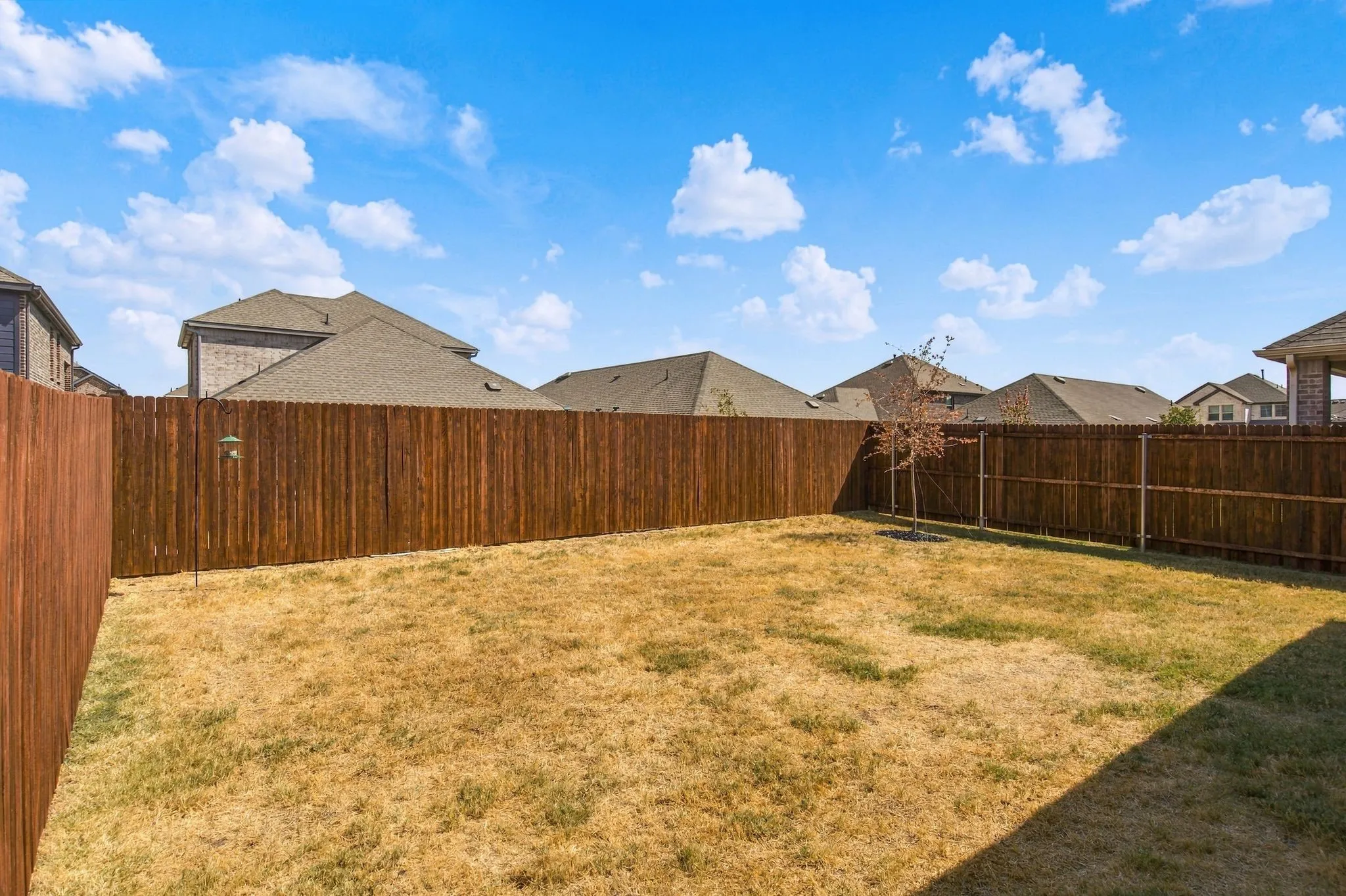Fenced backyard with a small tree