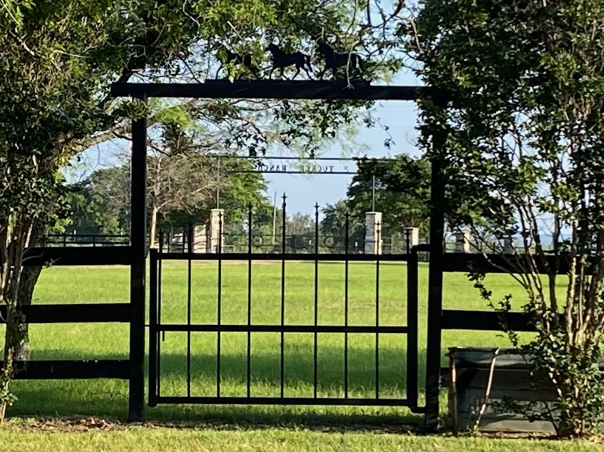 Farm For Sale in Erath County , 4536 County Road 132, Stephenville, Texas 76401, 2 Bedroom, 2 Bathroom, 2 Garage spaces, 1,056 Sqft, built in 2002, mls#21396623, Real Estate Agent in Stephenville, Homes For Sale in Erath county, Homes For Sale in Stephenville, Realtor in Stephenville Texas, Real Estate Brokerage Independent Realty Texas, Luminita Cordes Realtor