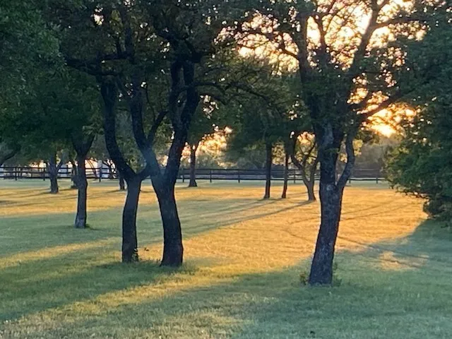 Farm For Sale in Erath County , 4536 County Road 132, Stephenville, Texas 76401, 2 Bedroom, 2 Bathroom, 2 Garage spaces, 1,056 Sqft, built in 2002, mls#21396623, Real Estate Agent in Stephenville, Homes For Sale in Erath county, Homes For Sale in Stephenville, Realtor in Stephenville Texas, Real Estate Brokerage Independent Realty Texas, Luminita Cordes Realtor