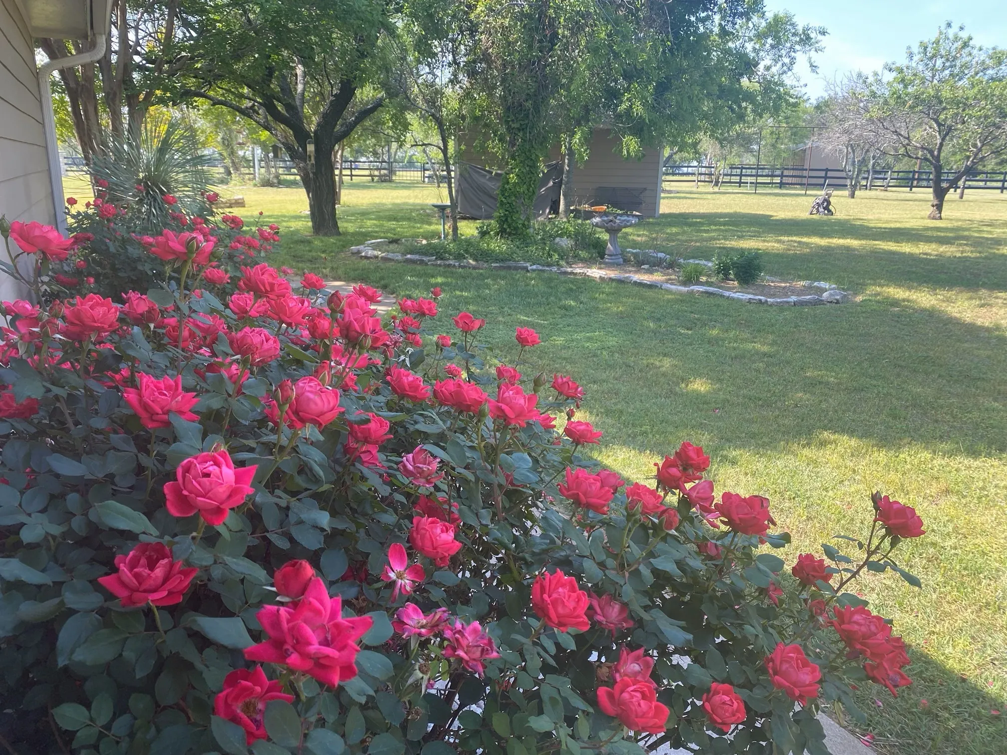 Farm For Sale in Erath County , 4536 County Road 132, Stephenville, Texas 76401, 2 Bedroom, 2 Bathroom, 2 Garage spaces, 1,056 Sqft, built in 2002, mls#21396623, Real Estate Agent in Stephenville, Homes For Sale in Erath county, Homes For Sale in Stephenville, Realtor in Stephenville Texas, Real Estate Brokerage Independent Realty Texas, Luminita Cordes Realtor