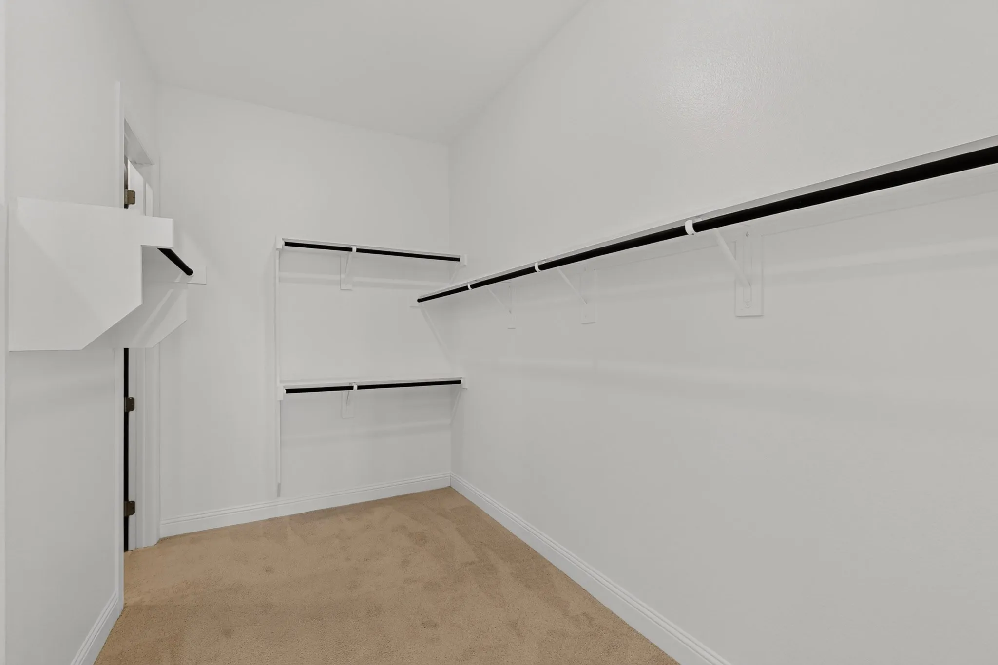 Carpeted closet with built-in shelving, white walls, and a white trim