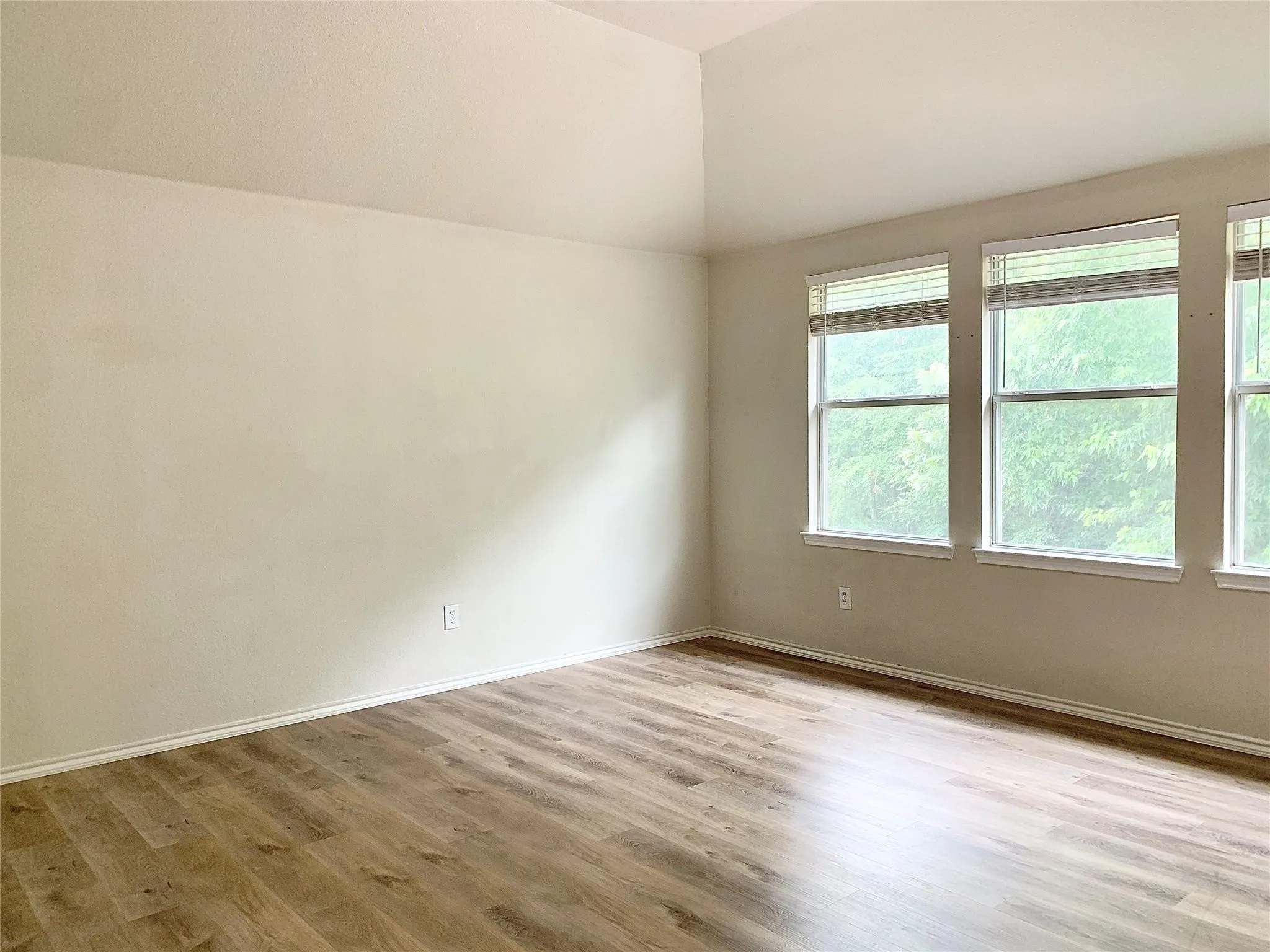 Vaulted ceiling, wood-finish flooring, multiple windows, window blinds, light neutral wall paint