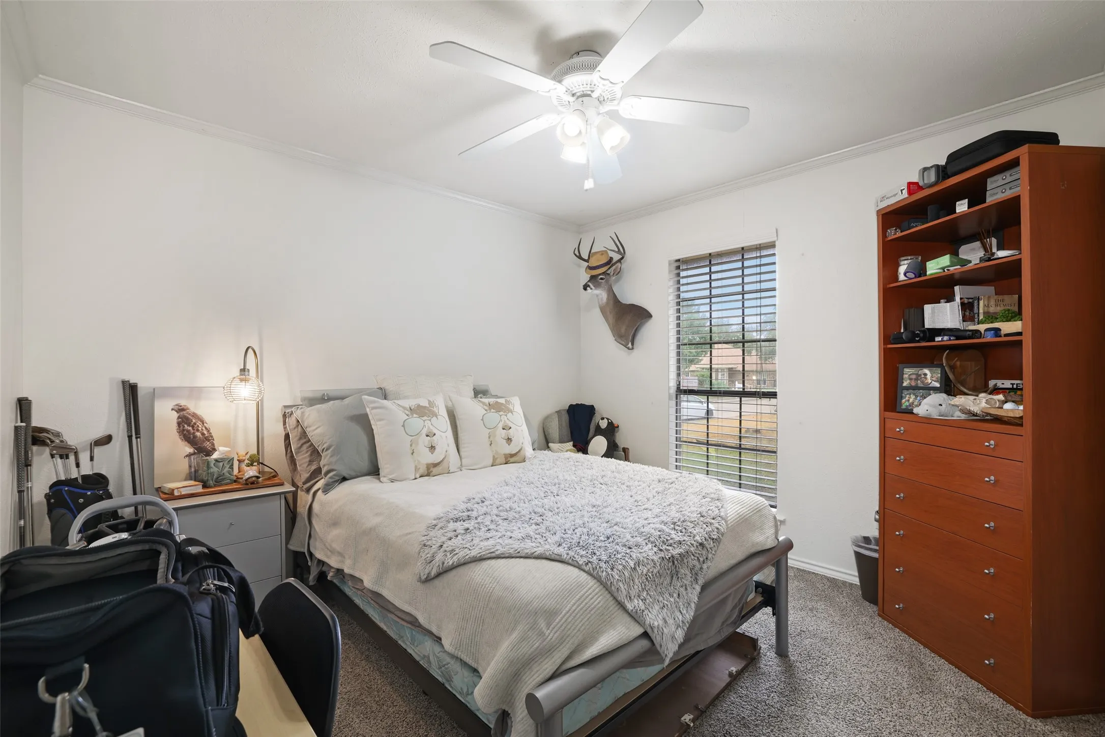 Textured carpeting, window with blinds, ceiling fan with light, crown molding