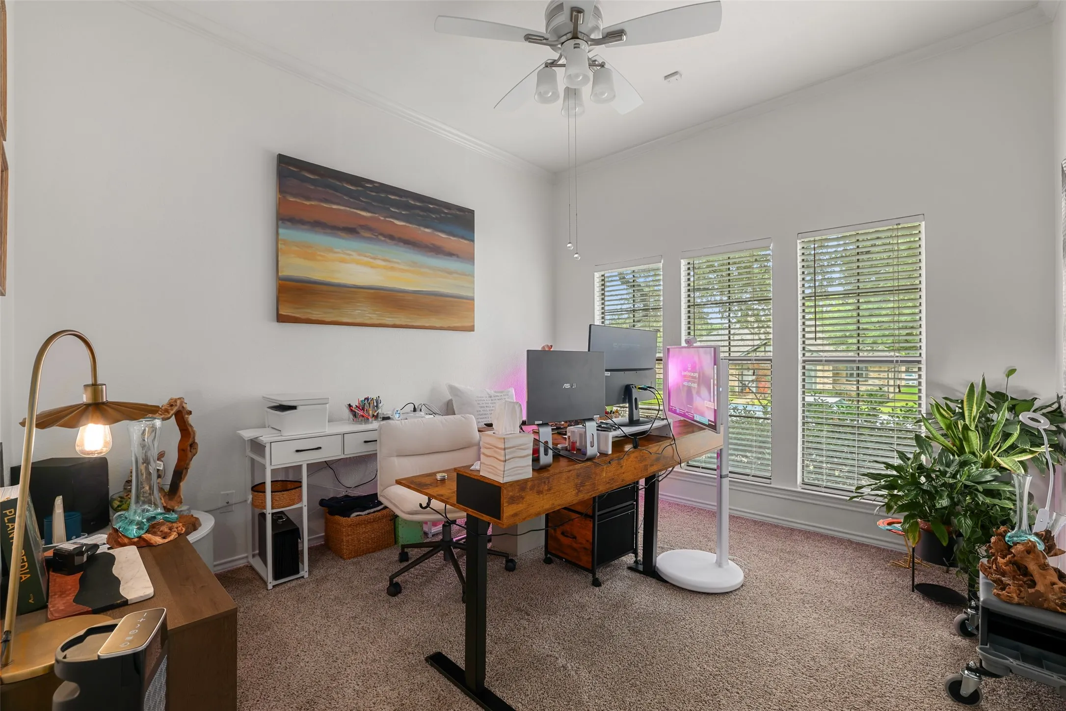 High ceilings with a ceiling fan, three windows with blinds, and neutral carpet flooring