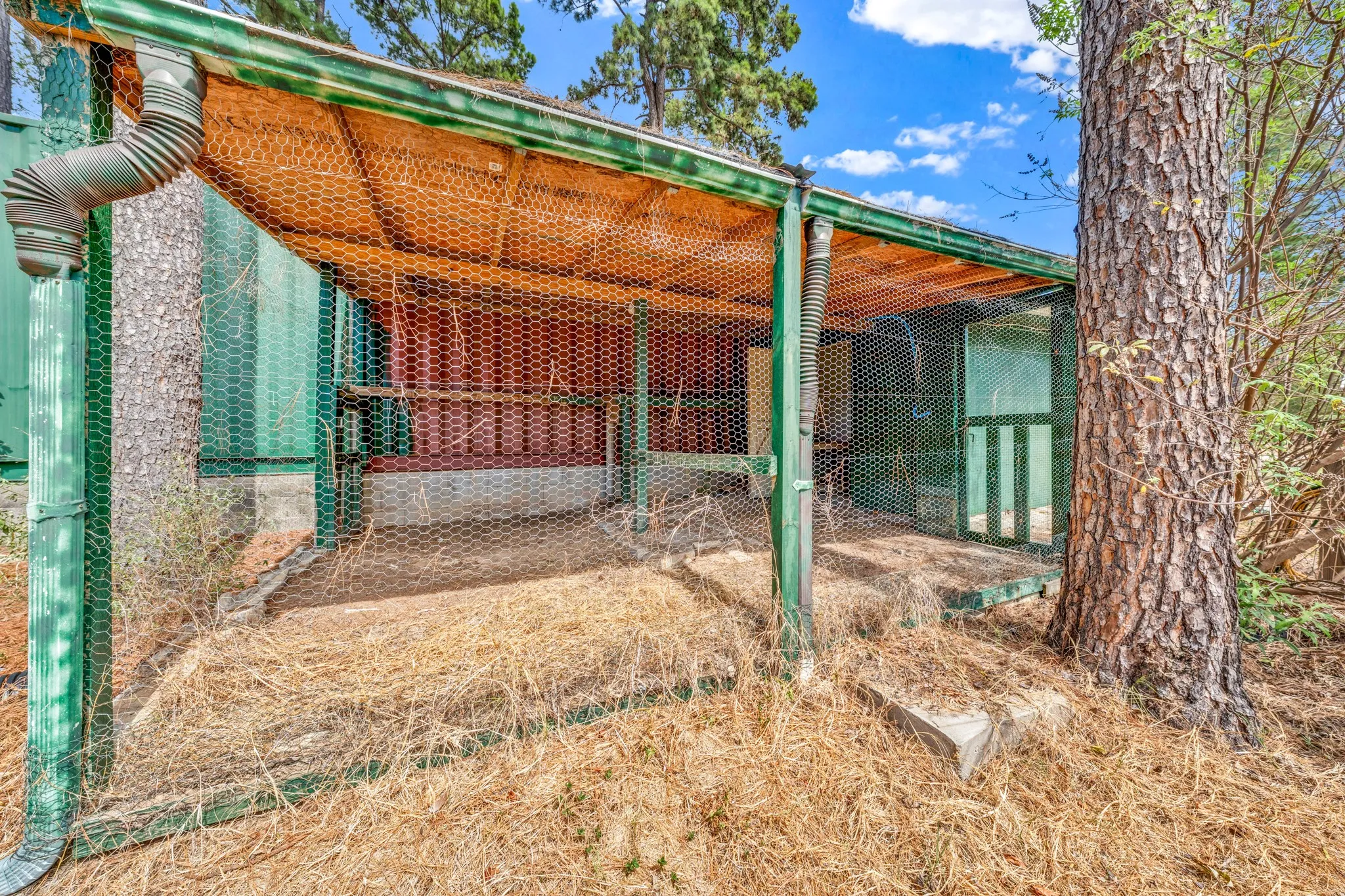 Chicken coop