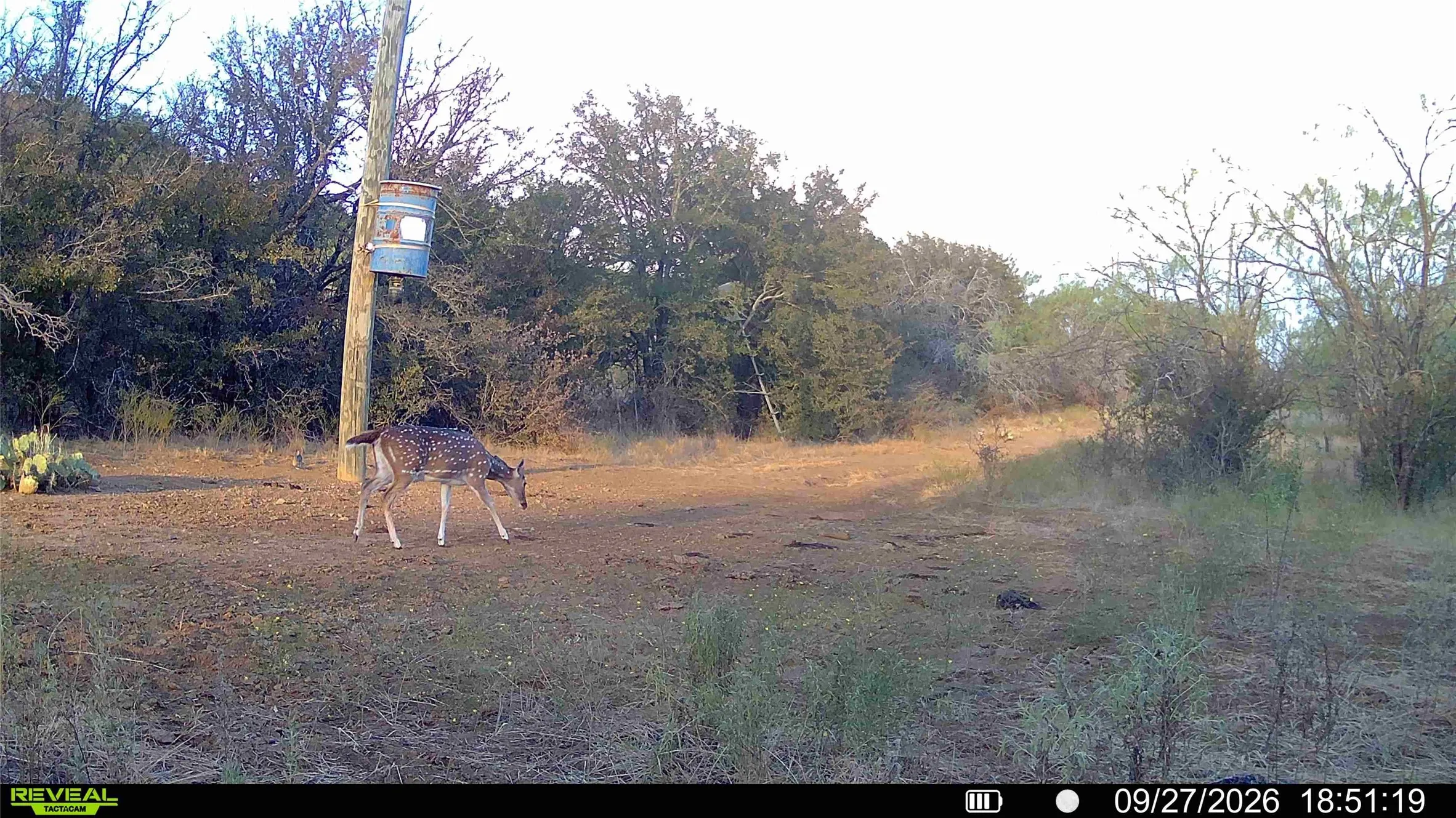 Unimproved Land For Sale in Palo Pinto County , TBD Remington Road, Santo, Texas 76472, 0, 0, Garage spaces, 0 Sqft, built in 0, mls#21397292, Real Estate Agent in Santo, Homes For Sale in Palo Pinto county, Homes For Sale in Santo, Realtor in Santo Texas, Real Estate Brokerage Independent Realty Texas, Luminita Cordes Realtor