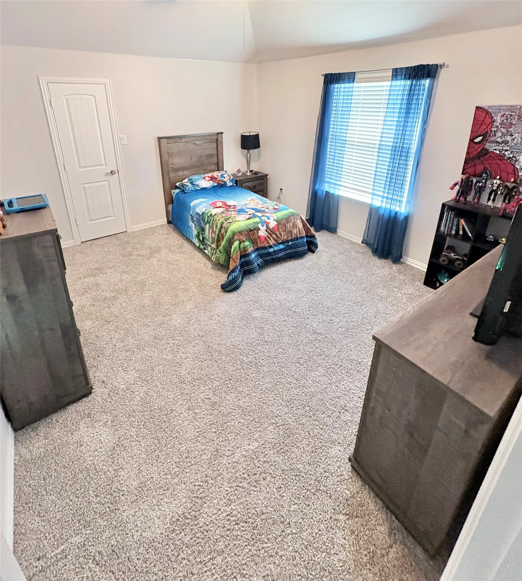 Carpeted room with a vaulted ceiling, a single window with blinds, and a paneled door