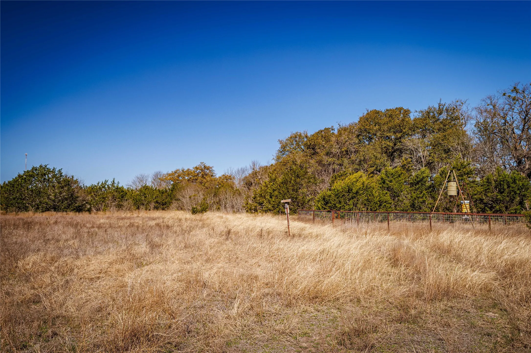 Expansive open field with natural landscaping and mature trees along the perimeter