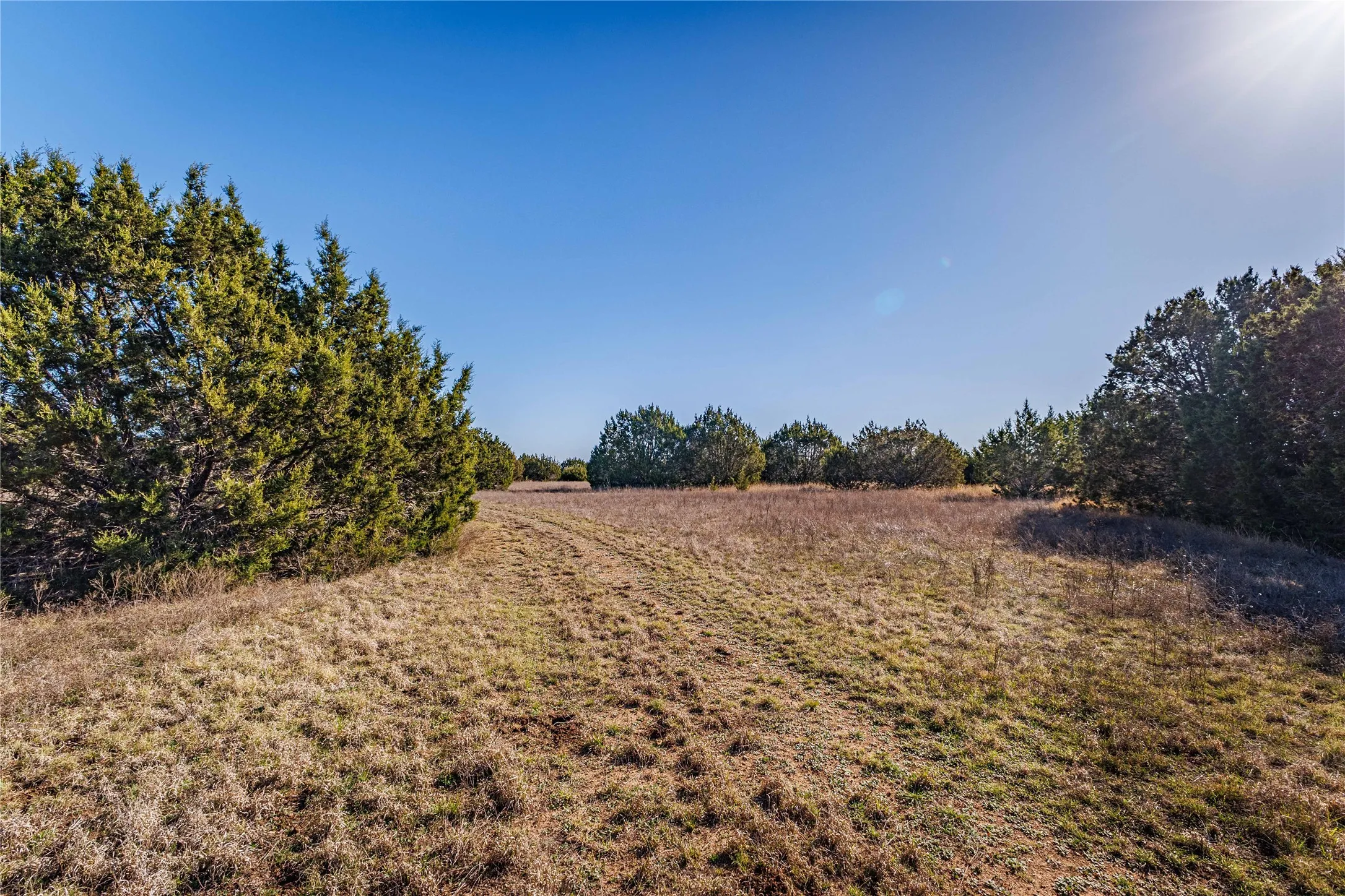 Expansive undeveloped land with natural ground cover and scattered mature trees