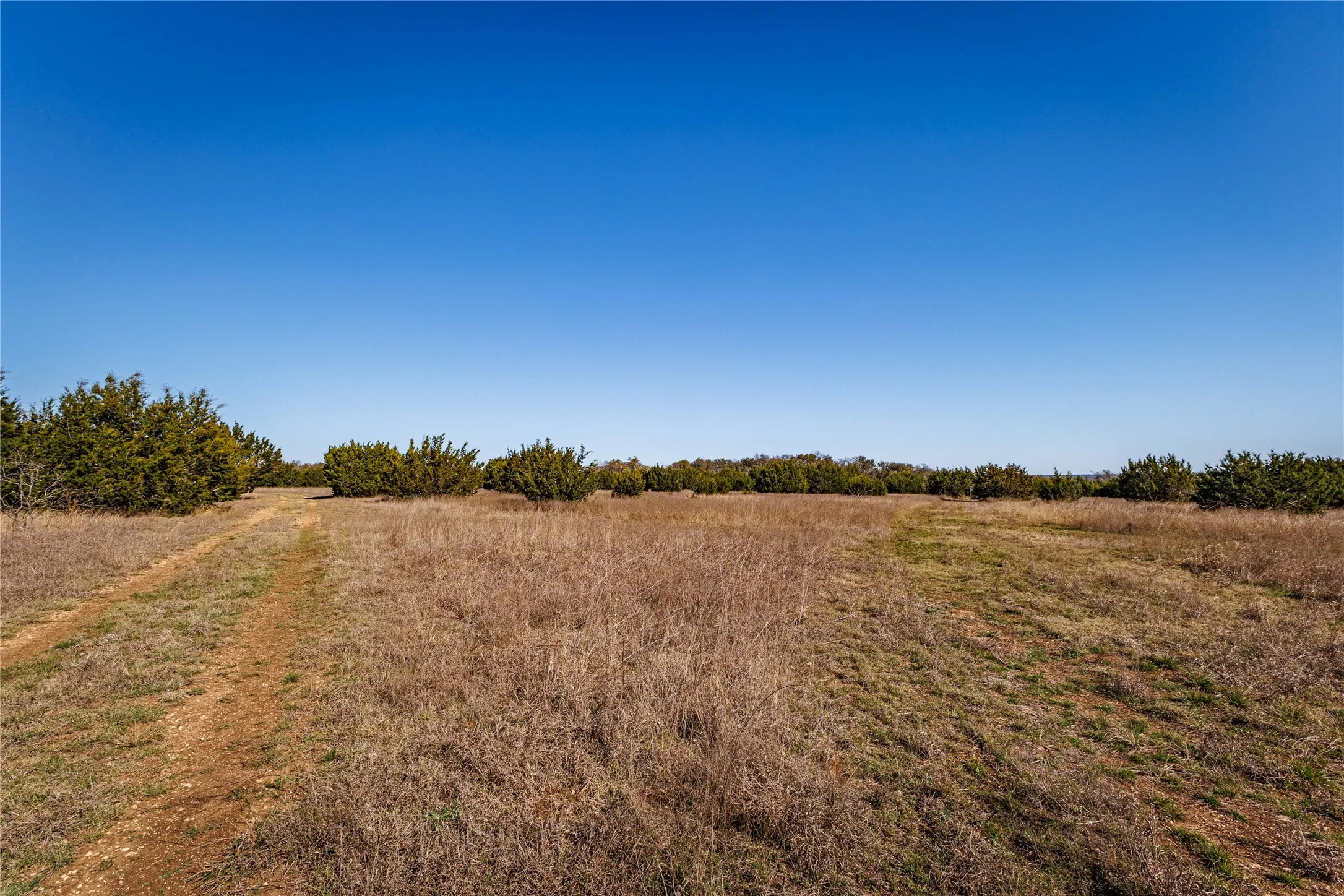 Expansive open land featuring natural grasses and scattered shrubbery