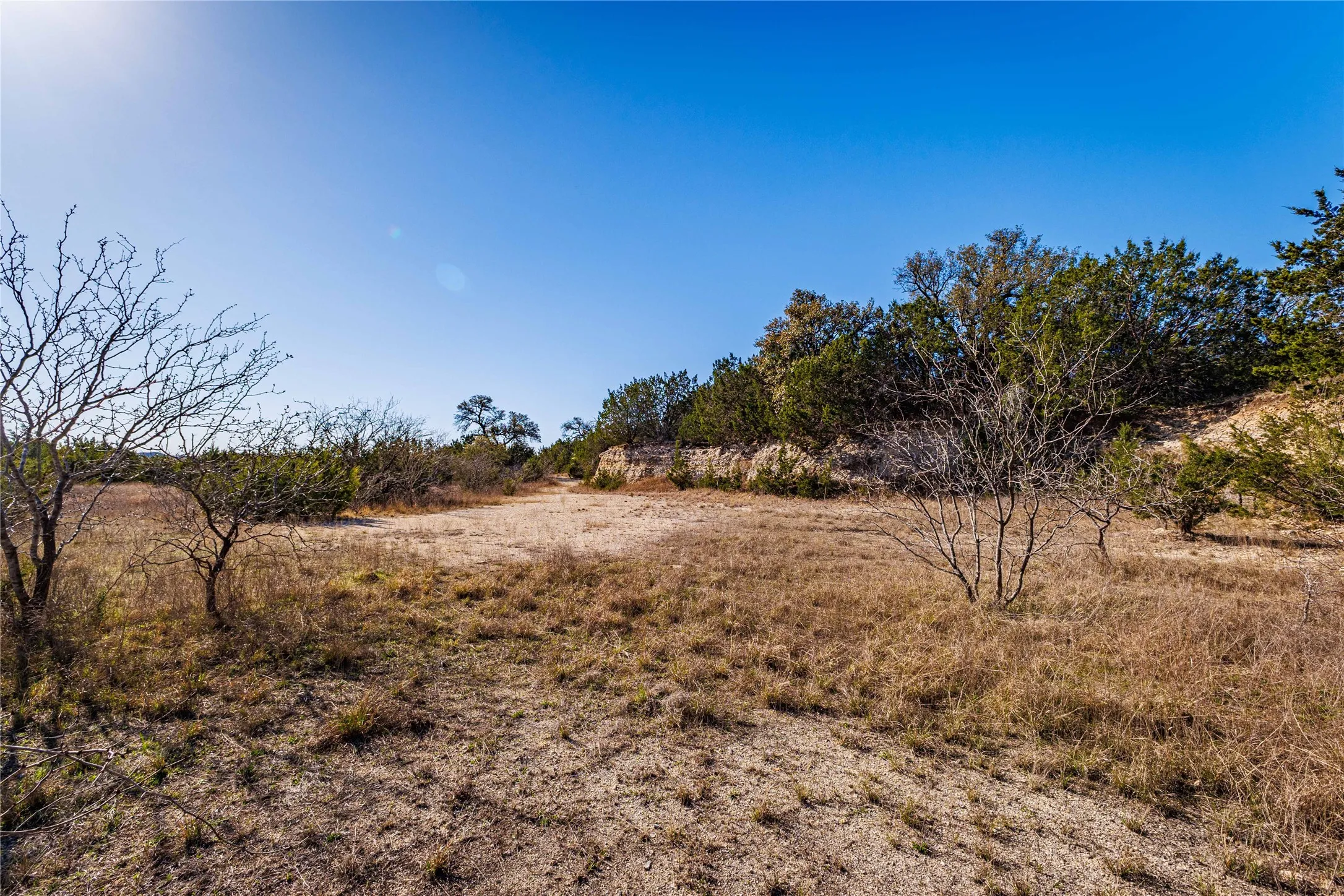 Expansive natural landscape featuring varied terrain and established vegetation