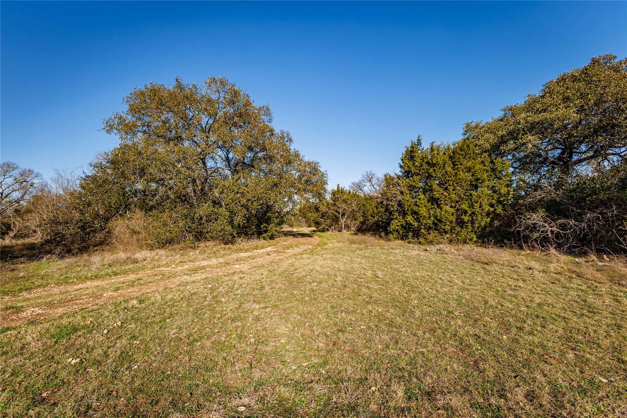 Expansive grassy terrain with a clear path