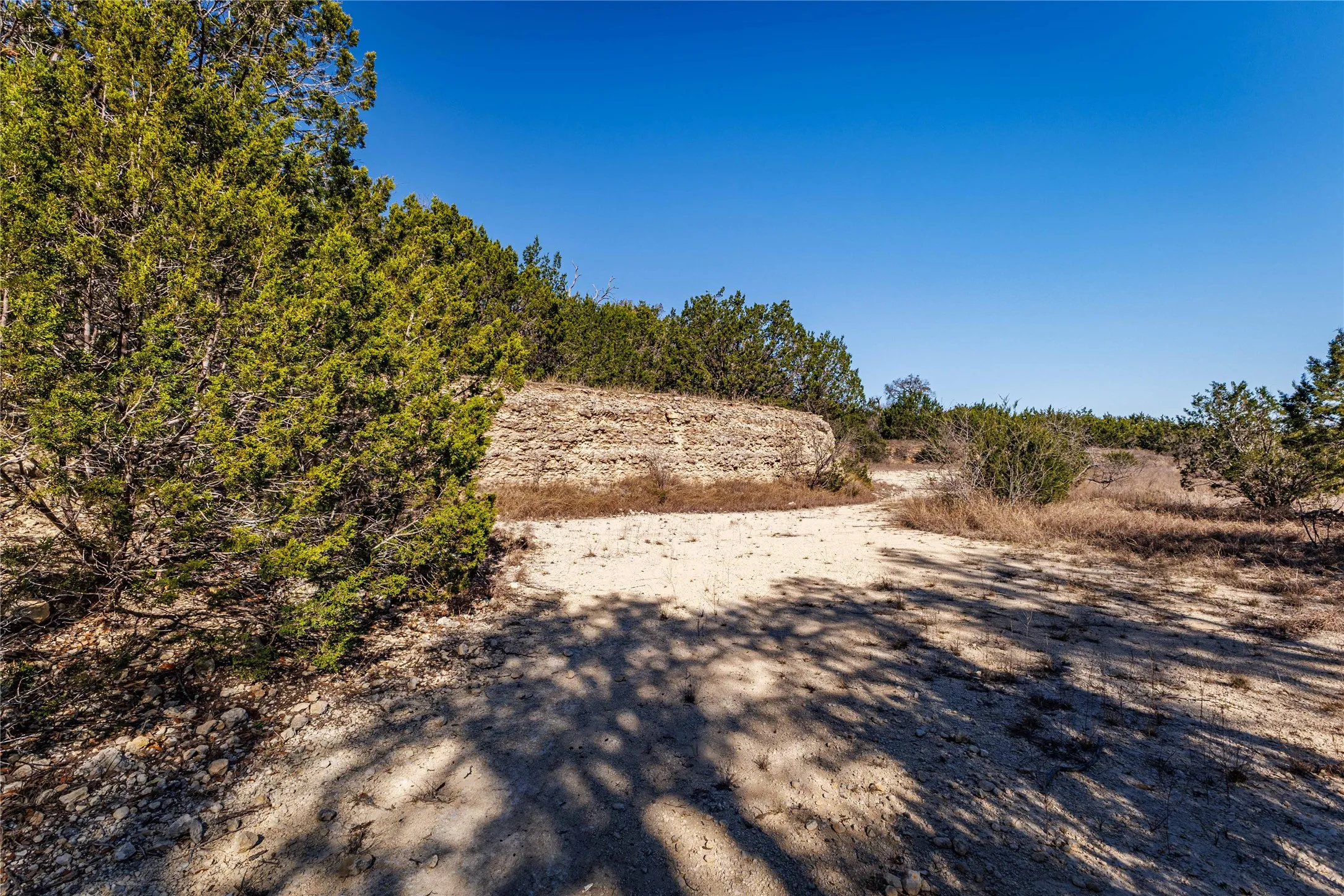 Natural terrain featuring scattered trees and a clear sky