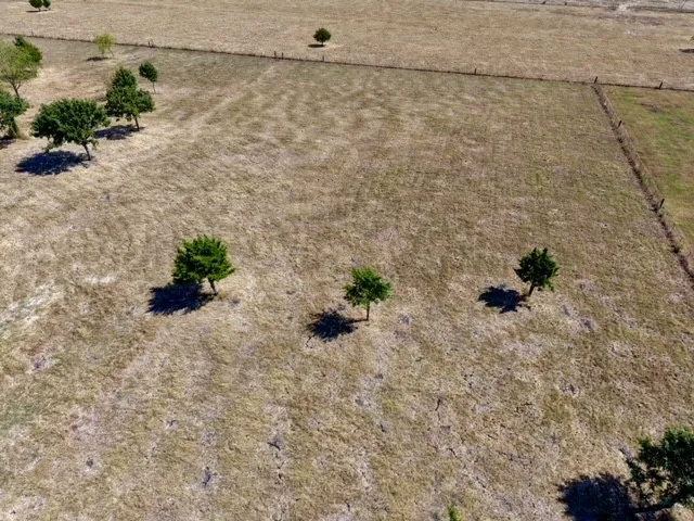 Unimproved Land For Sale in Rockwall County , 2675 Dowell Road, Rockwall, Texas 75032, 0, 0, Garage spaces, 0 Sqft, built in 0, mls#21388709, Real Estate Agent in Rockwall, Homes For Sale in Rockwall county, Homes For Sale in Rockwall, Realtor in Rockwall Texas, Real Estate Brokerage Independent Realty Texas, Luminita Cordes Realtor