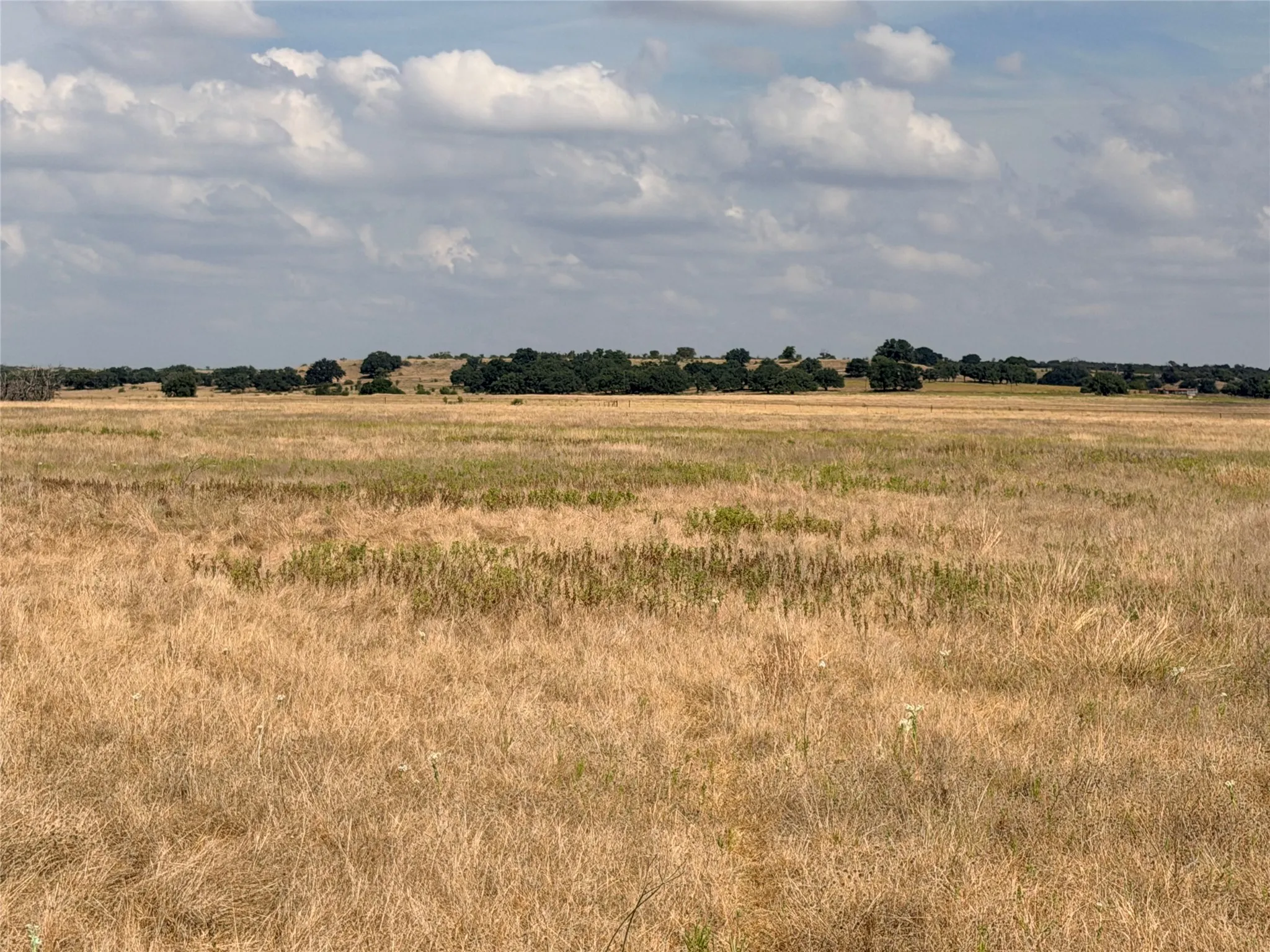 Improved Land For Sale in Hamilton County , TBD CR 512, Hamilton, Texas 76880, 0, 0, Garage spaces, 0 Sqft, built in 0, mls#21397415, Real Estate Agent in Hamilton, Homes For Sale in Hamilton county, Homes For Sale in Hamilton, Realtor in Hamilton Texas, Real Estate Brokerage Independent Realty Texas, Luminita Cordes Realtor