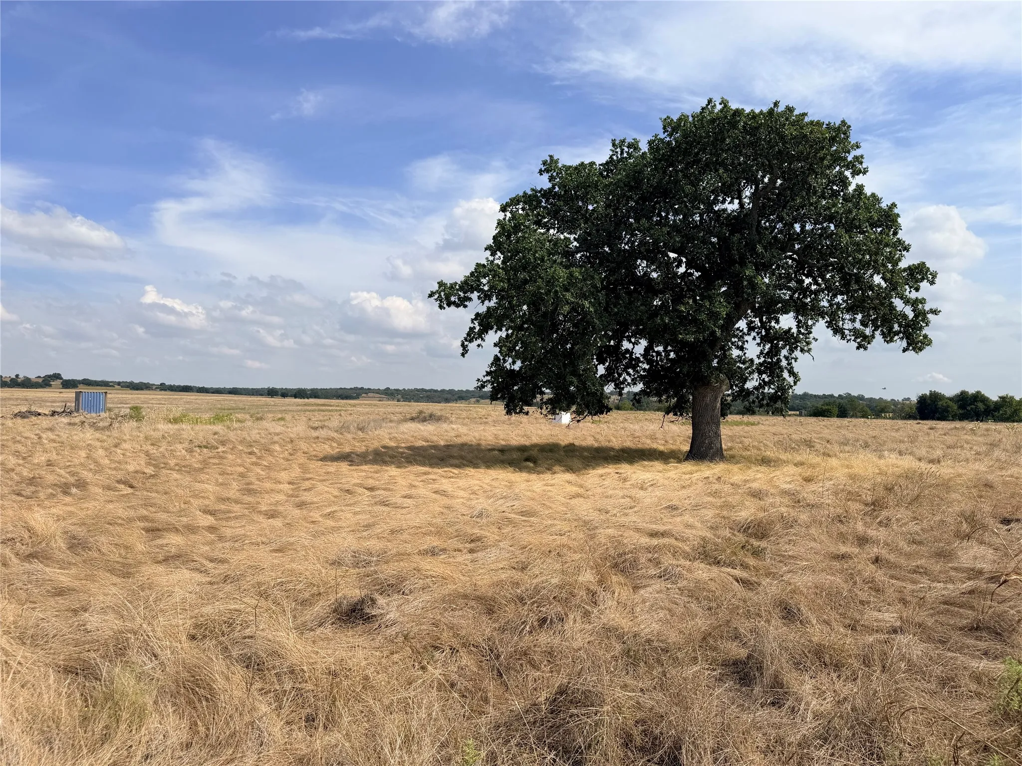 Improved Land For Sale in Hamilton County , TBD CR 512, Hamilton, Texas 76880, 0, 0, Garage spaces, 0 Sqft, built in 0, mls#21397415, Real Estate Agent in Hamilton, Homes For Sale in Hamilton county, Homes For Sale in Hamilton, Realtor in Hamilton Texas, Real Estate Brokerage Independent Realty Texas, Luminita Cordes Realtor