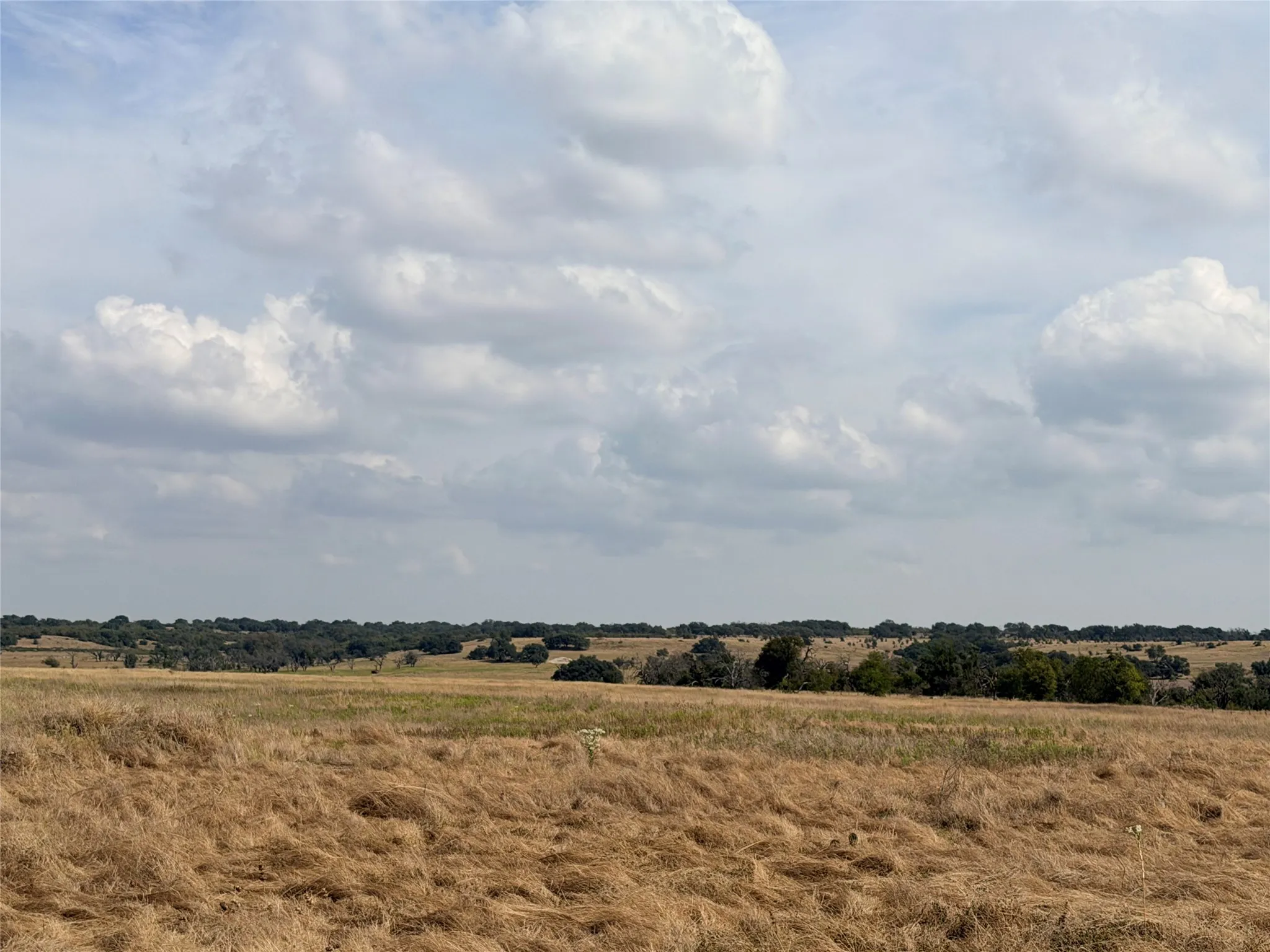 Improved Land For Sale in Hamilton County , TBD CR 512, Hamilton, Texas 76880, 0, 0, Garage spaces, 0 Sqft, built in 0, mls#21397415, Real Estate Agent in Hamilton, Homes For Sale in Hamilton county, Homes For Sale in Hamilton, Realtor in Hamilton Texas, Real Estate Brokerage Independent Realty Texas, Luminita Cordes Realtor