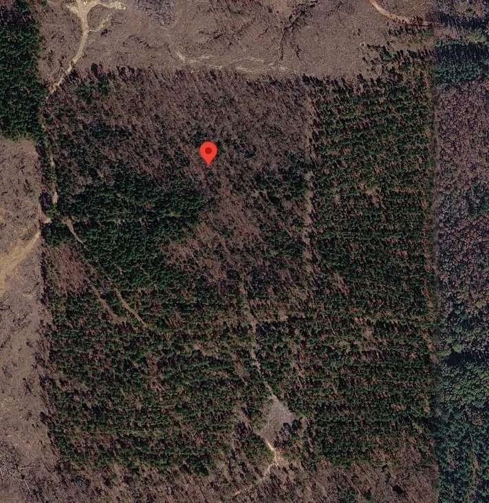 Unimproved Land For Sale in Cass County , Tract 3 County Road 3769, Queen City, Texas 75572, 0, 0, Garage spaces, 0 Sqft, built in 0, mls#21397450, Real Estate Agent in Queen City, Homes For Sale in Cass county, Homes For Sale in Queen City, Realtor in Queen City Texas, Real Estate Brokerage Independent Realty Texas, Luminita Cordes Realtor