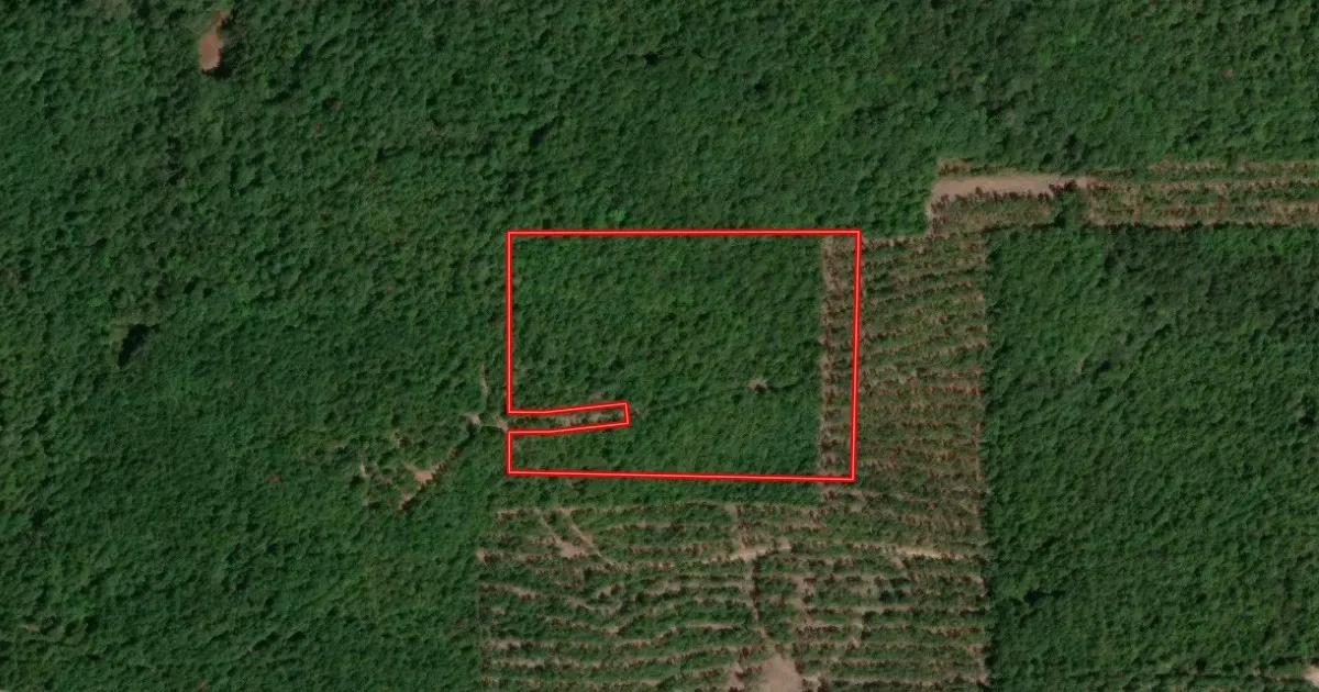 Unimproved Land For Sale in Cass County , Tract 3 County Road 3769, Queen City, Texas 75572, 0, 0, Garage spaces, 0 Sqft, built in 0, mls#21397450, Real Estate Agent in Queen City, Homes For Sale in Cass county, Homes For Sale in Queen City, Realtor in Queen City Texas, Real Estate Brokerage Independent Realty Texas, Luminita Cordes Realtor