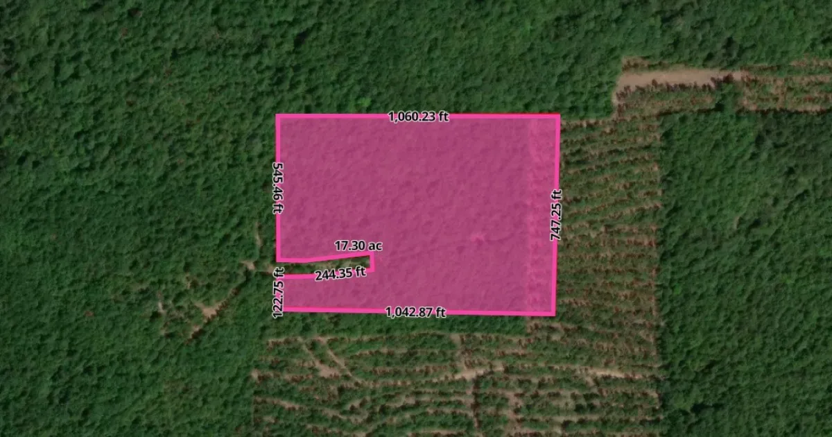 Unimproved Land For Sale in Cass County , Tract 3 County Road 3769, Queen City, Texas 75572, 0, 0, Garage spaces, 0 Sqft, built in 0, mls#21397450, Real Estate Agent in Queen City, Homes For Sale in Cass county, Homes For Sale in Queen City, Realtor in Queen City Texas, Real Estate Brokerage Independent Realty Texas, Luminita Cordes Realtor