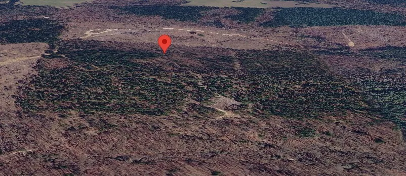 Unimproved Land For Sale in Cass County , Tract 3 County Road 3769, Queen City, Texas 75572, 0, 0, Garage spaces, 0 Sqft, built in 0, mls#21397450, Real Estate Agent in Queen City, Homes For Sale in Cass county, Homes For Sale in Queen City, Realtor in Queen City Texas, Real Estate Brokerage Independent Realty Texas, Luminita Cordes Realtor