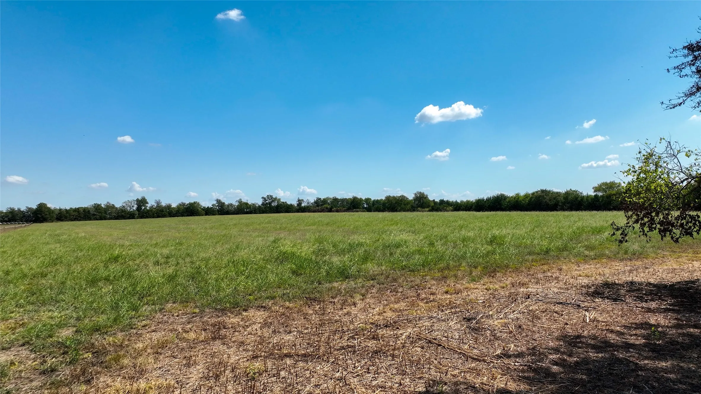 Unimproved Land For Sale in Lamar County , 000 FM 1497, Paris, Texas 75462, 0, 0, Garage spaces, 0 Sqft, built in 0, mls#21397463, Real Estate Agent in Paris, Homes For Sale in Lamar county, Homes For Sale in Paris, Realtor in Paris Texas, Real Estate Brokerage Independent Realty Texas, Luminita Cordes Realtor