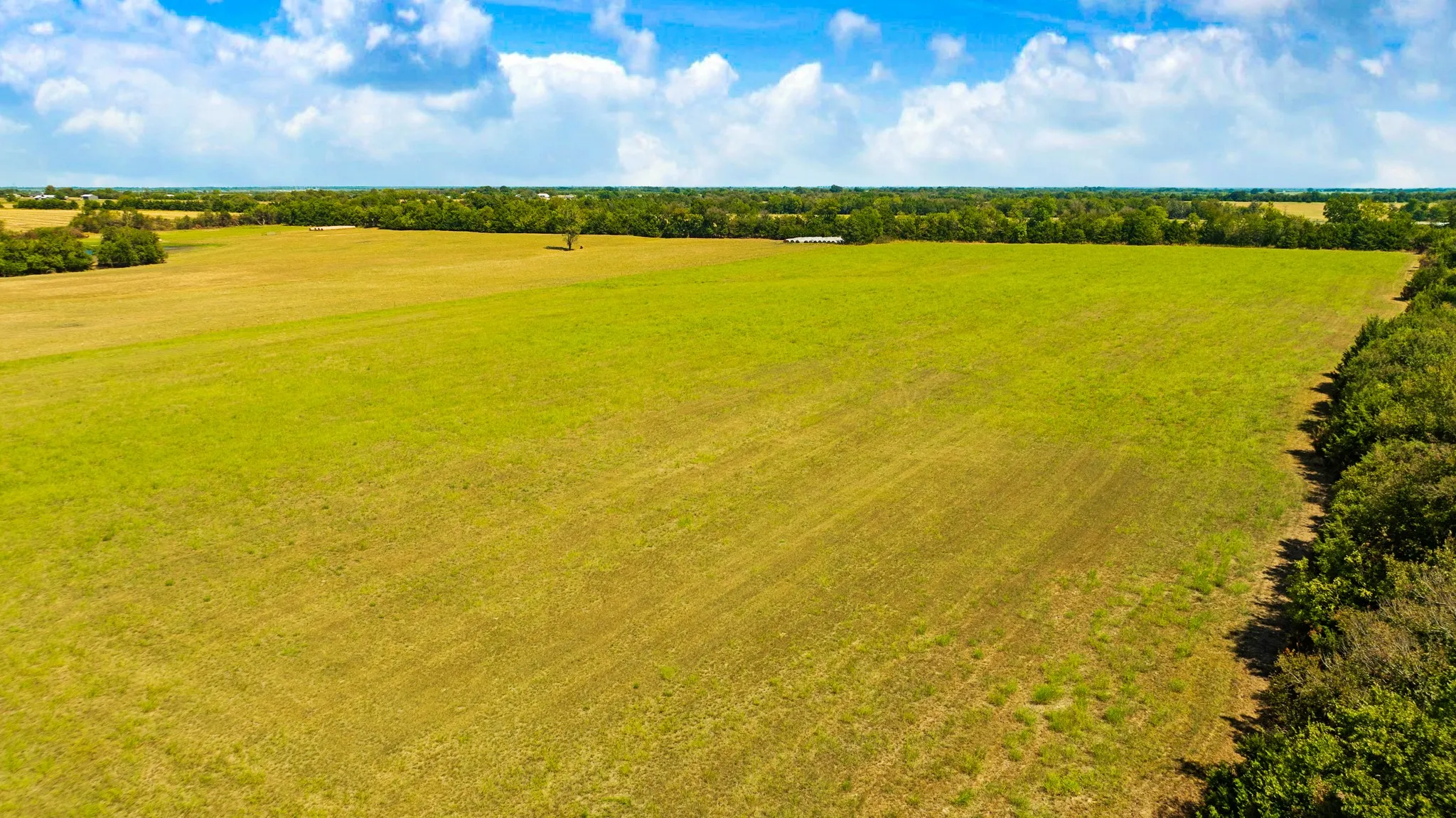 Unimproved Land For Sale in Lamar County , 000 FM 1497, Paris, Texas 75462, 0, 0, Garage spaces, 0 Sqft, built in 0, mls#21397463, Real Estate Agent in Paris, Homes For Sale in Lamar county, Homes For Sale in Paris, Realtor in Paris Texas, Real Estate Brokerage Independent Realty Texas, Luminita Cordes Realtor