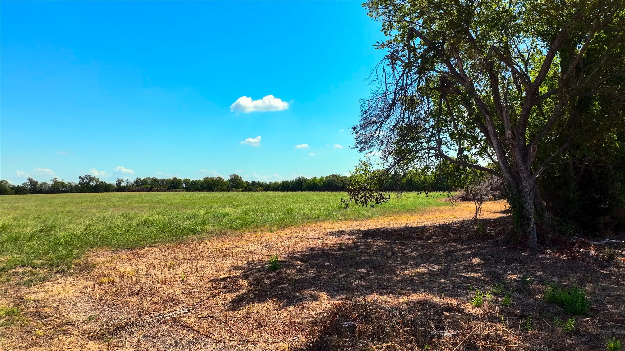 Unimproved Land For Sale in Lamar County , 000 FM 1497, Paris, Texas 75462, 0, 0, Garage spaces, 0 Sqft, built in 0, mls#21397463, Real Estate Agent in Paris, Homes For Sale in Lamar county, Homes For Sale in Paris, Realtor in Paris Texas, Real Estate Brokerage Independent Realty Texas, Luminita Cordes Realtor