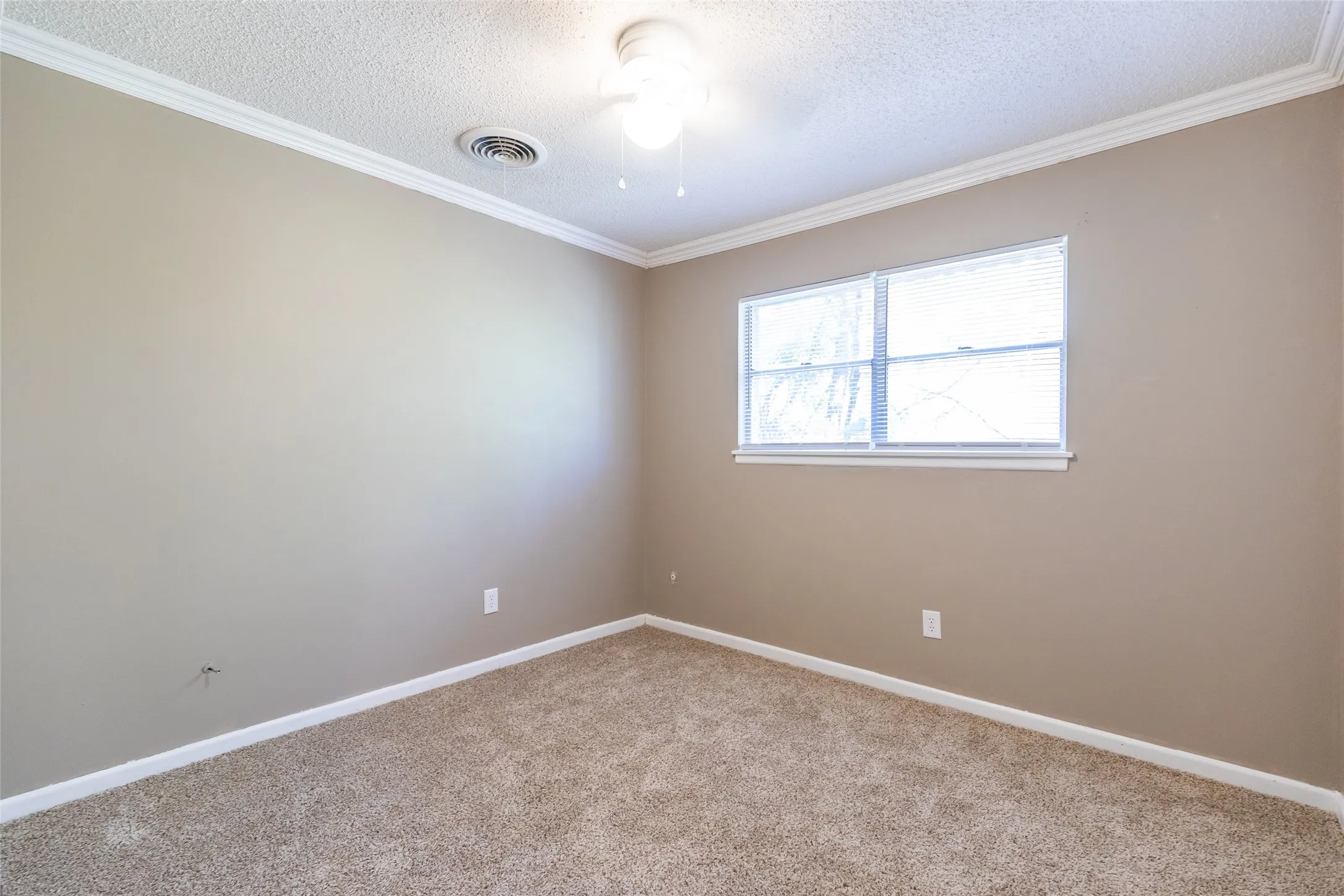 Wall-to-wall carpeting, crown molding, double window, ceiling fan, and neutral wall tones