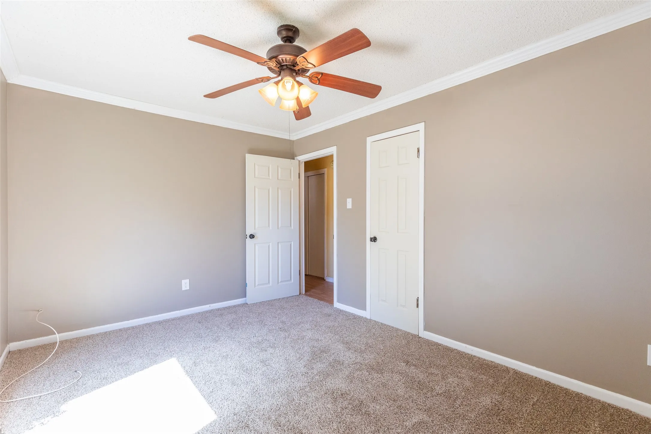 Brown carpet flooring with neutral wall paint