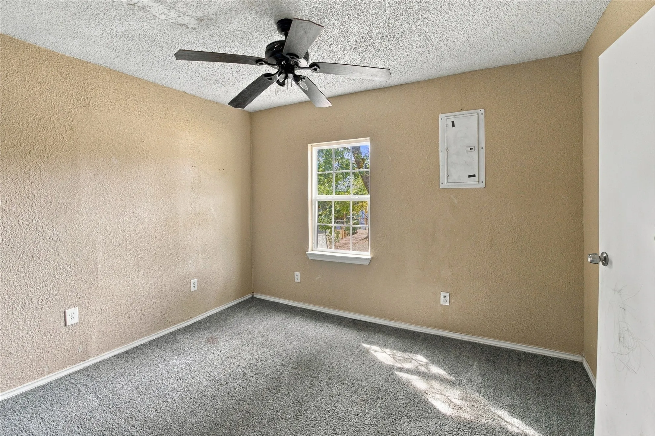 Room featuring a ceiling fan with light fixture, textured walls, and carpet flooring