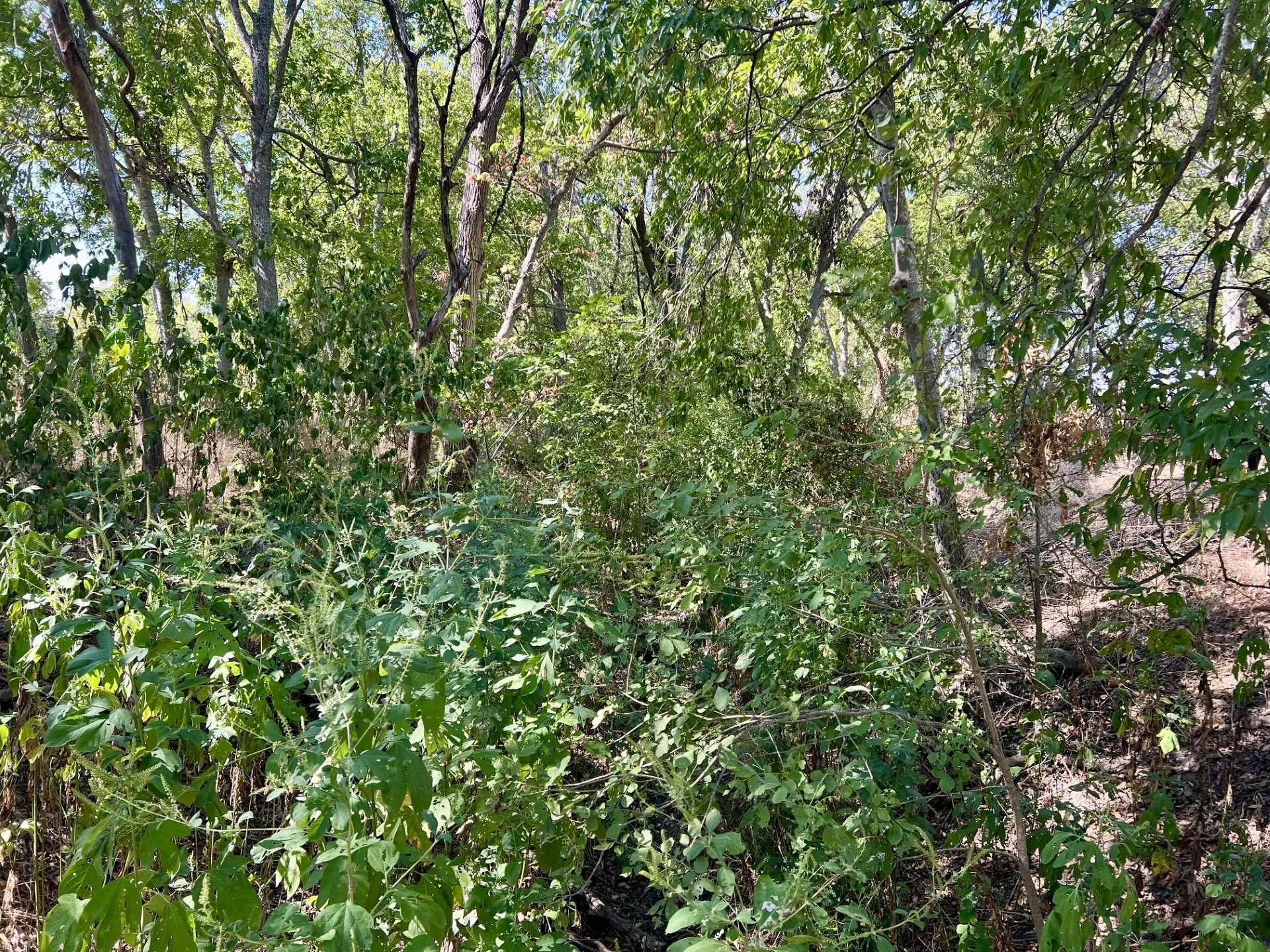 Unimproved Land For Sale in Mc Lennan County , TBD Jasmine Lane Lane, Waco, Texas 76706, 0, 0, Garage spaces, 0 Sqft, built in 0, mls#21397439, Real Estate Agent in Waco, Homes For Sale in Mc Lennan county, Homes For Sale in Waco, Realtor in Waco Texas, Real Estate Brokerage Independent Realty Texas, Luminita Cordes Realtor