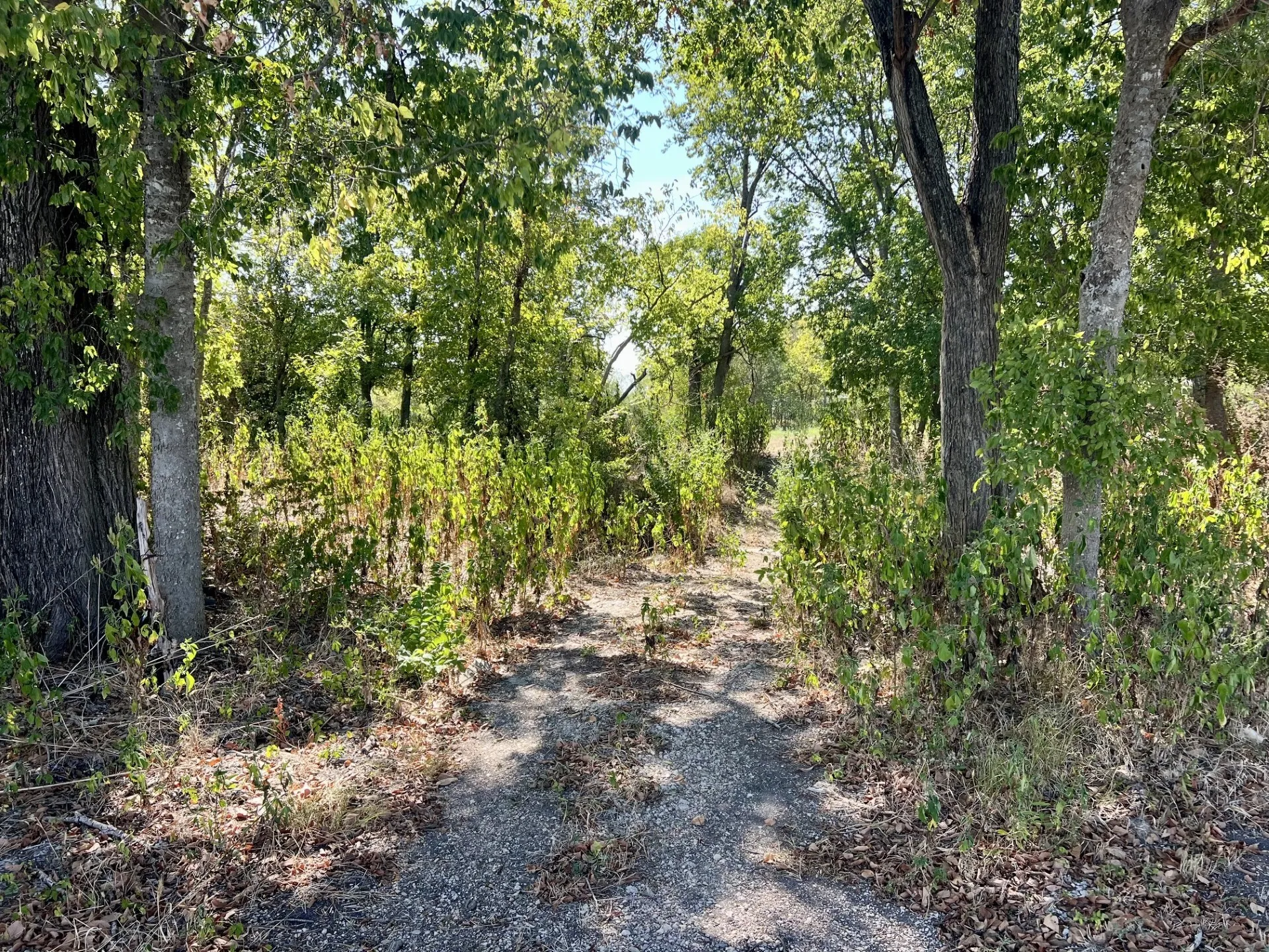 Unimproved Land For Sale in Mc Lennan County , TBD Jasmine Lane Lane, Waco, Texas 76706, 0, 0, Garage spaces, 0 Sqft, built in 0, mls#21397439, Real Estate Agent in Waco, Homes For Sale in Mc Lennan county, Homes For Sale in Waco, Realtor in Waco Texas, Real Estate Brokerage Independent Realty Texas, Luminita Cordes Realtor