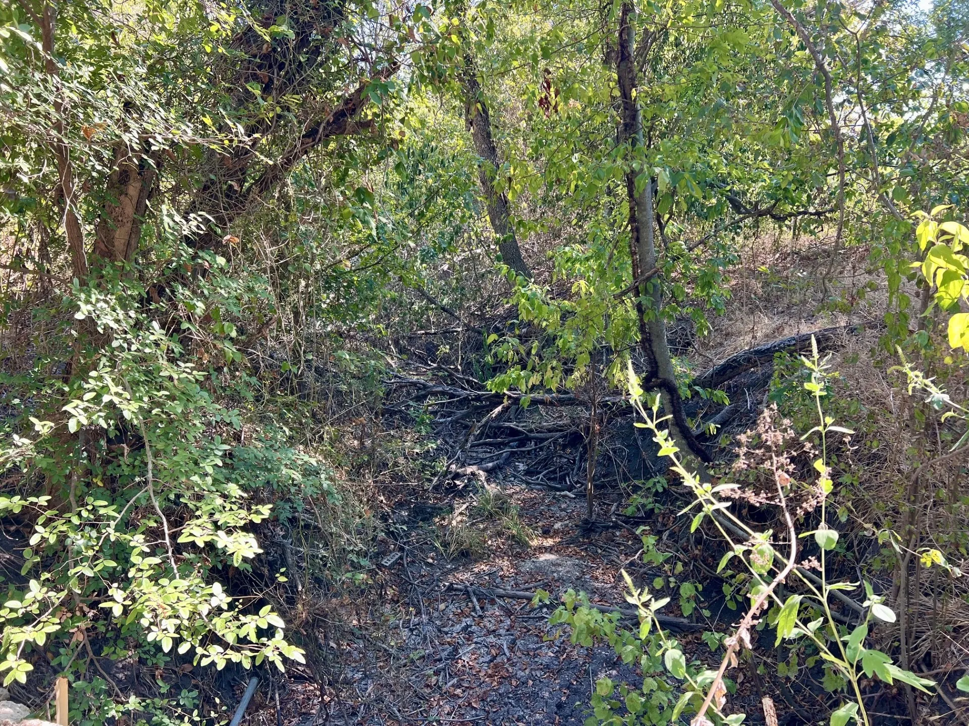 Unimproved Land For Sale in Mc Lennan County , TBD Jasmine Lane Lane, Waco, Texas 76706, 0, 0, Garage spaces, 0 Sqft, built in 0, mls#21397439, Real Estate Agent in Waco, Homes For Sale in Mc Lennan county, Homes For Sale in Waco, Realtor in Waco Texas, Real Estate Brokerage Independent Realty Texas, Luminita Cordes Realtor